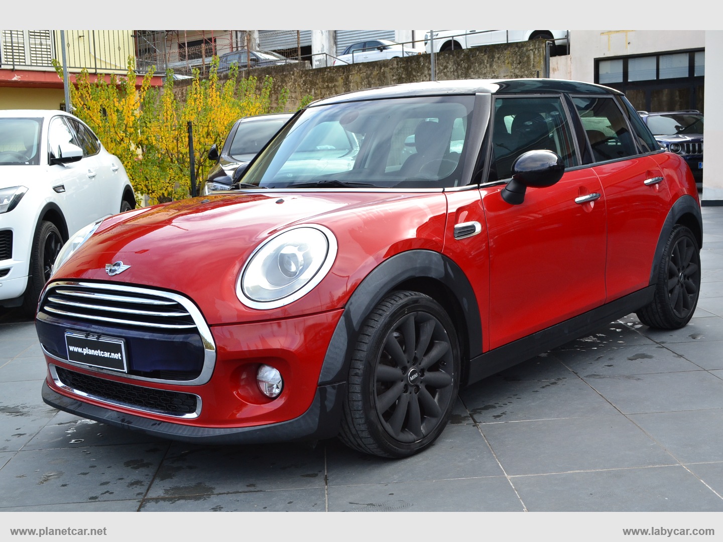 1.jpg