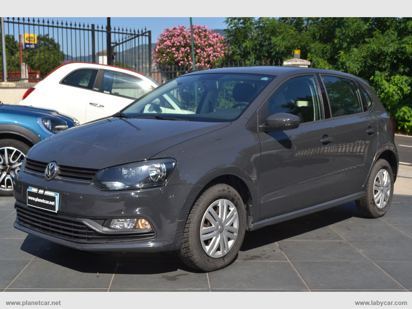 VOLKSWAGEN Polo