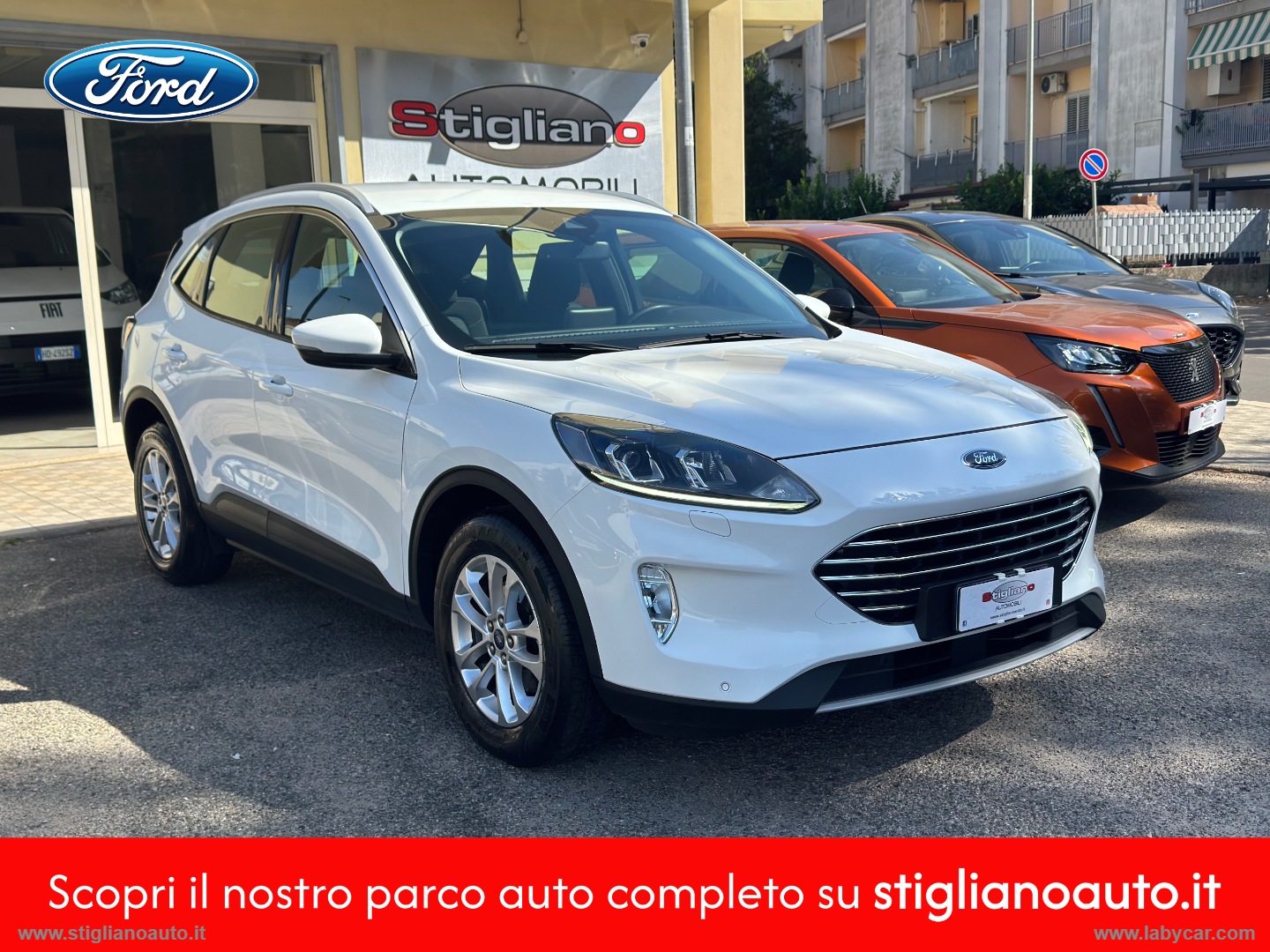 FORD Kuga