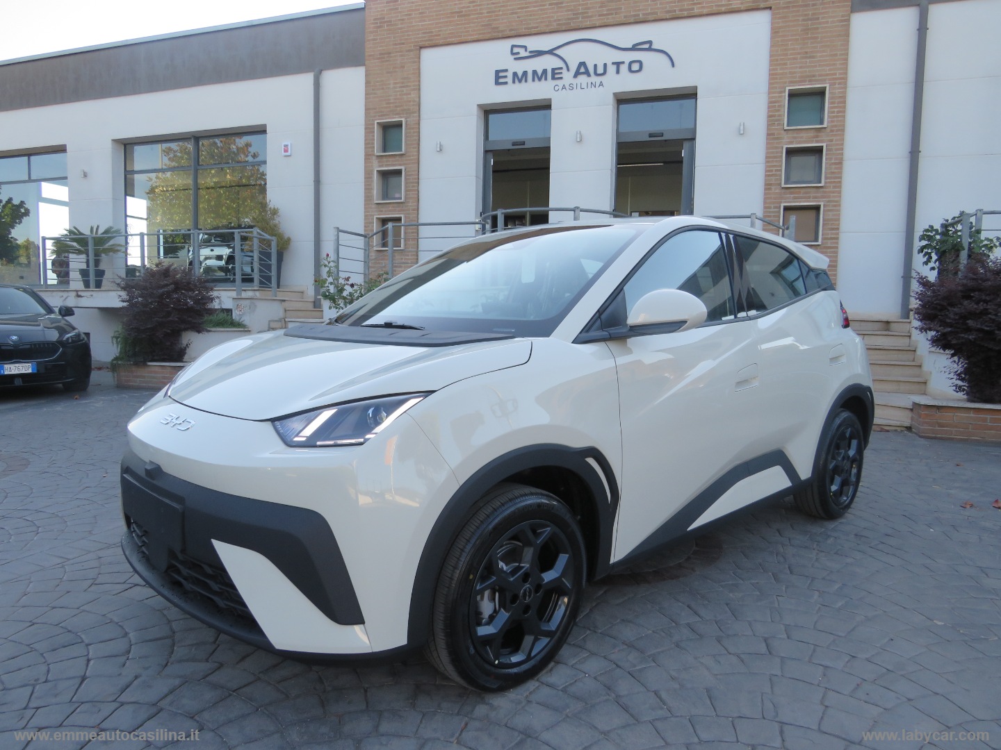 BYD Dolphin Surf