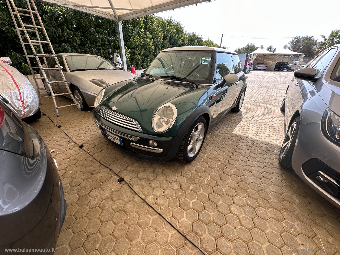 MINI Mini