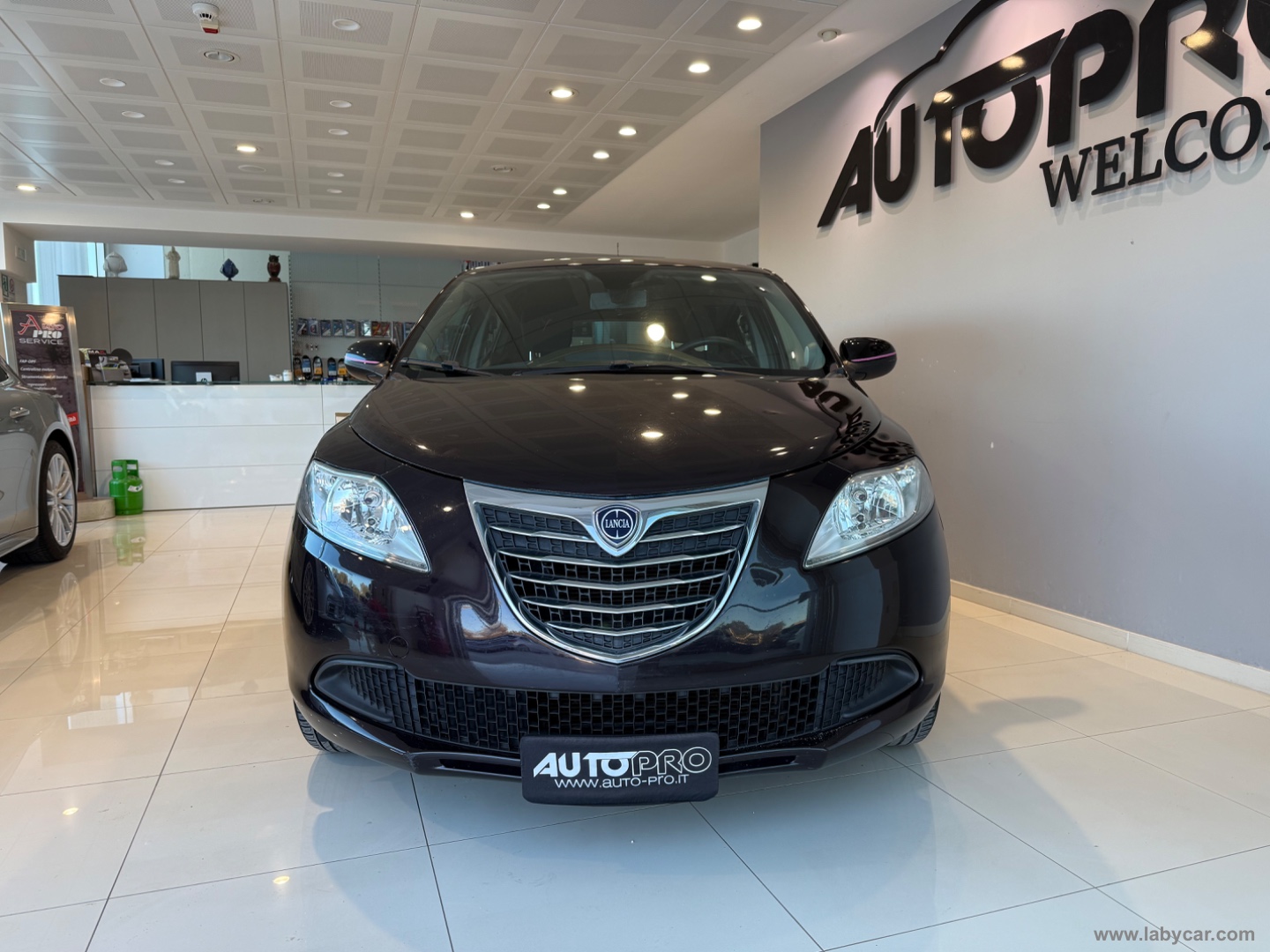 Ypsilon 1.2 69 CV 5p. Gold                                                        