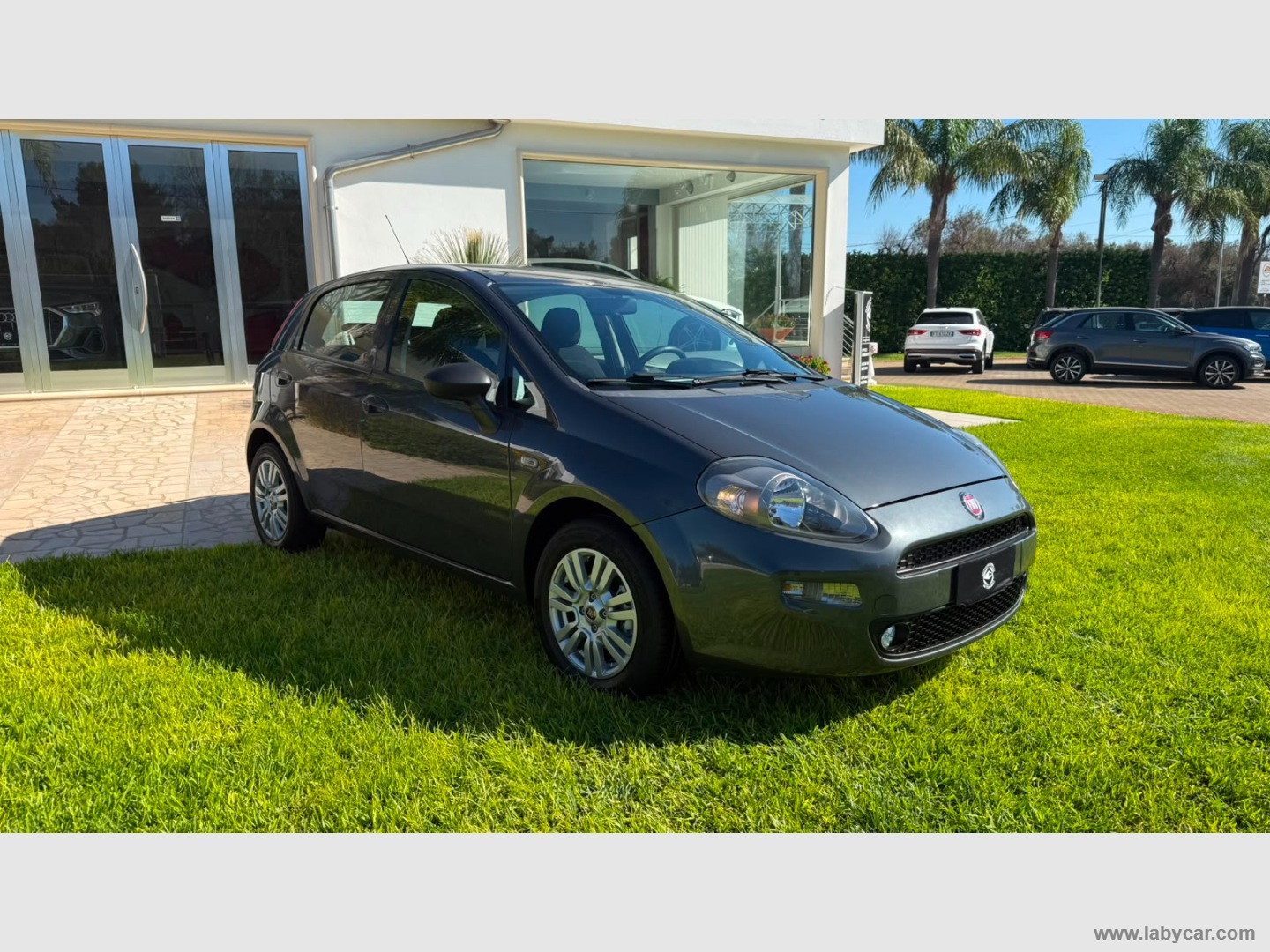FIAT Punto 1.2 8V 5p. Lounge                                                        