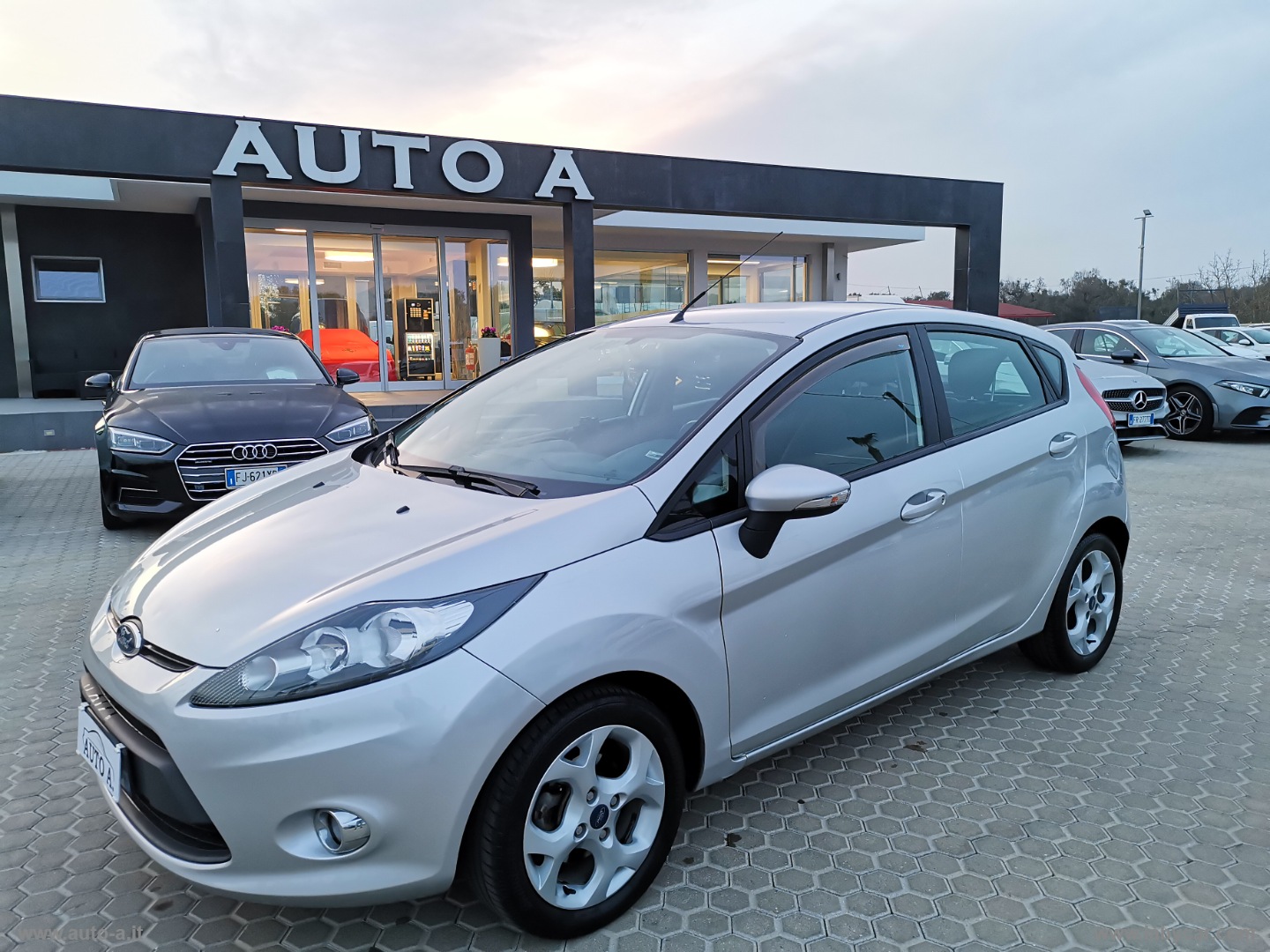 Fiesta 1.4 TDCi 70 CV 5p. Titanium                                                        