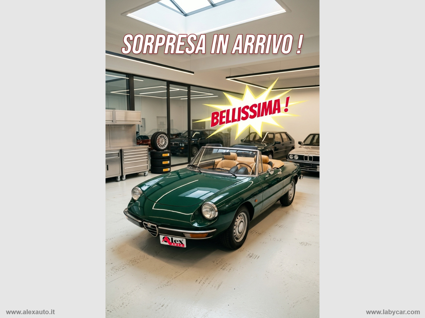 ALFA ROMEO Altri Modelli