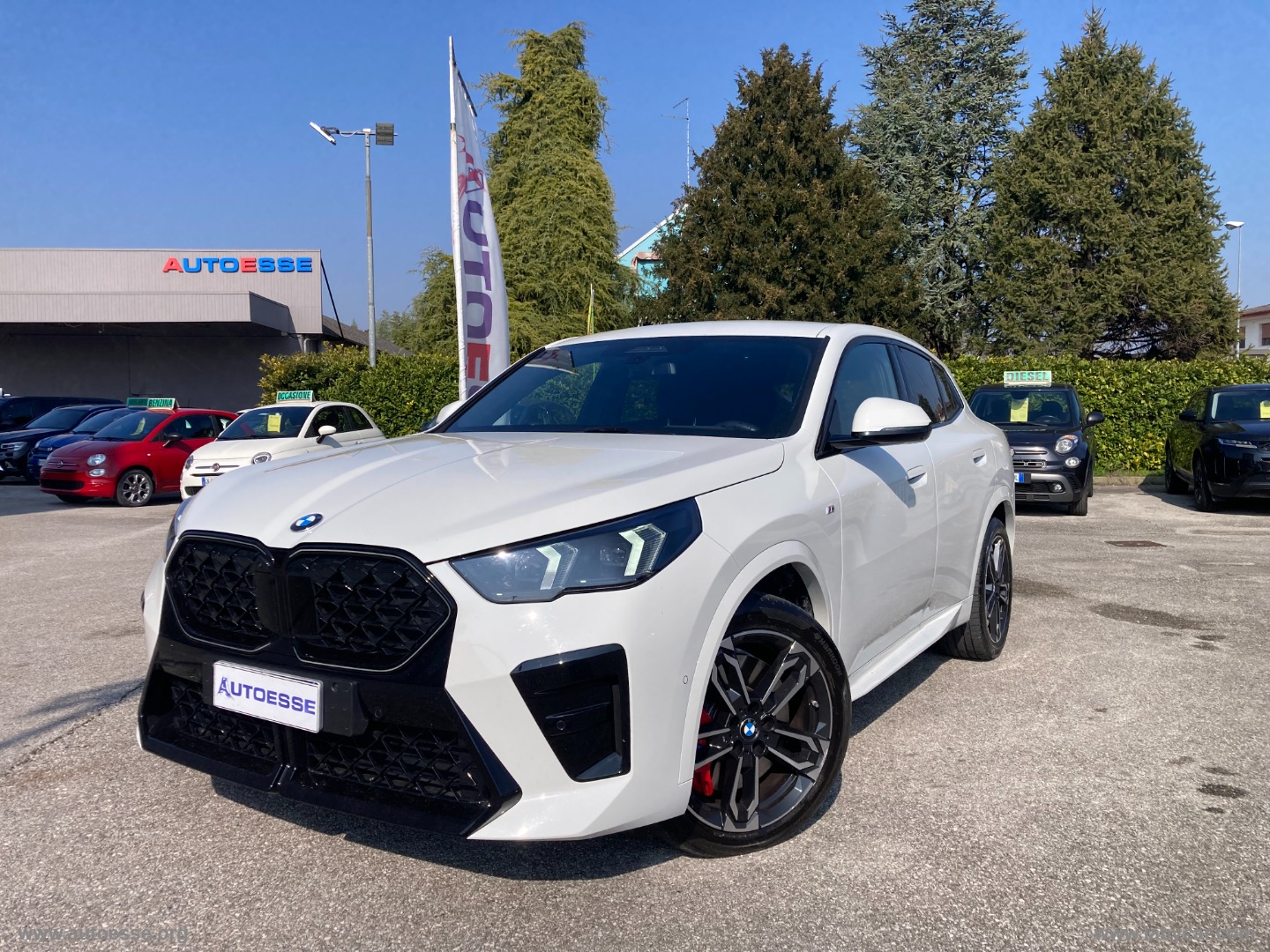 BMW X2
