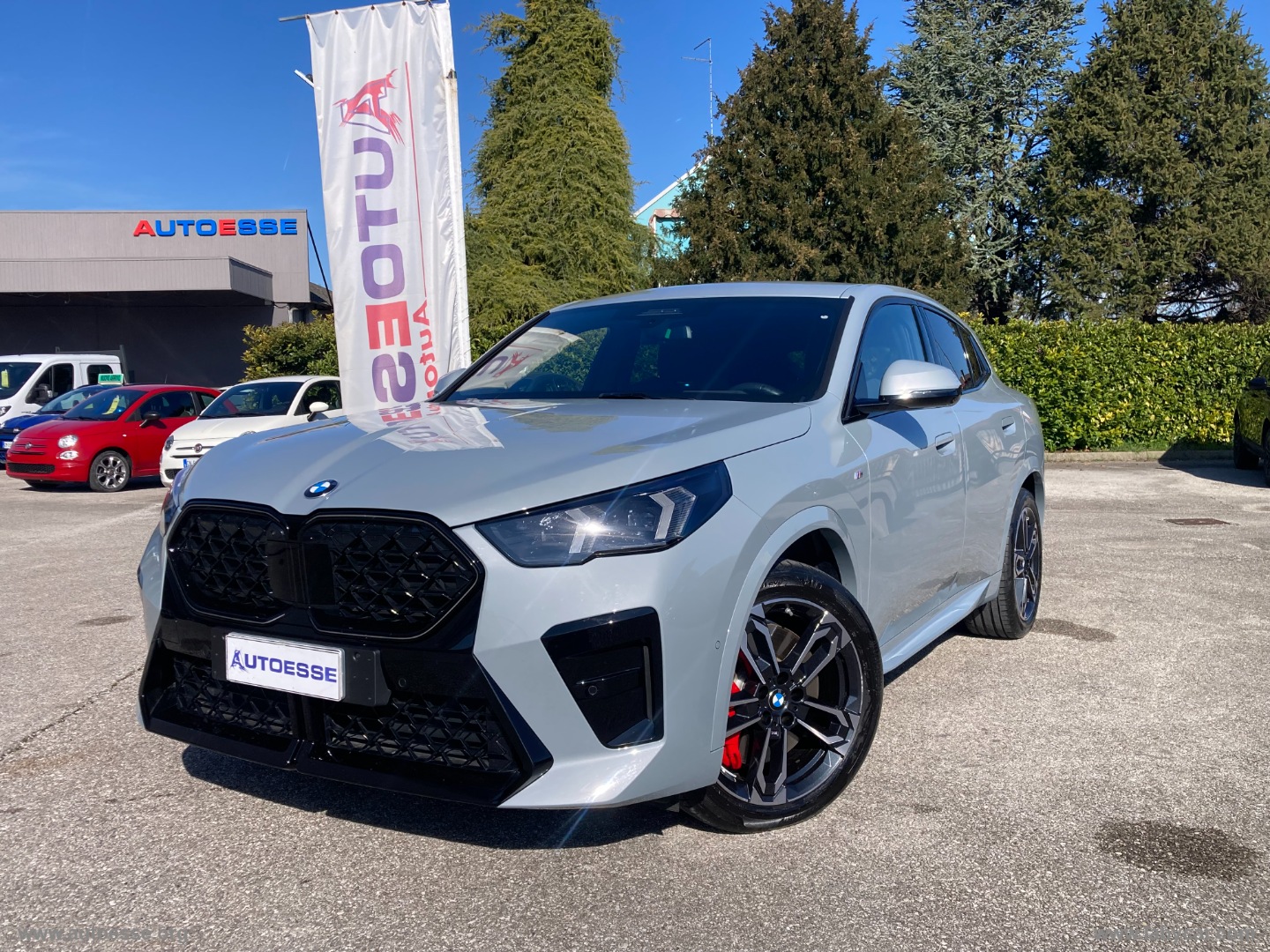 BMW X2