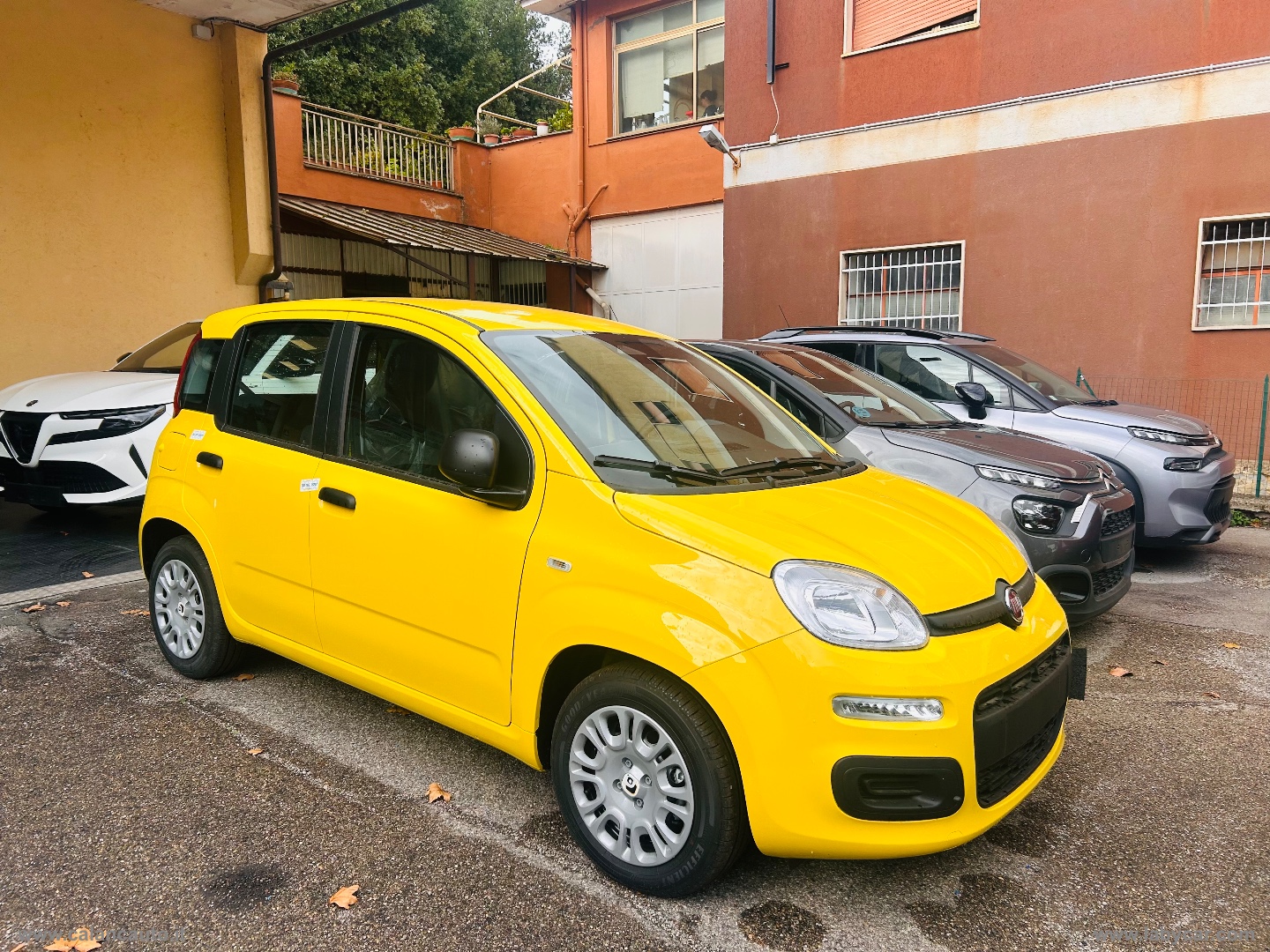 FIAT Panda