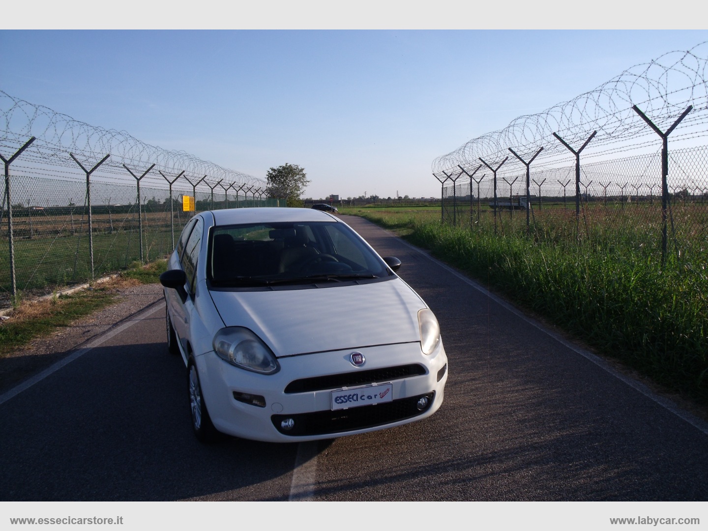 FIAT Punto 1.4 8V 3p. Natural Power Lounge                                                        