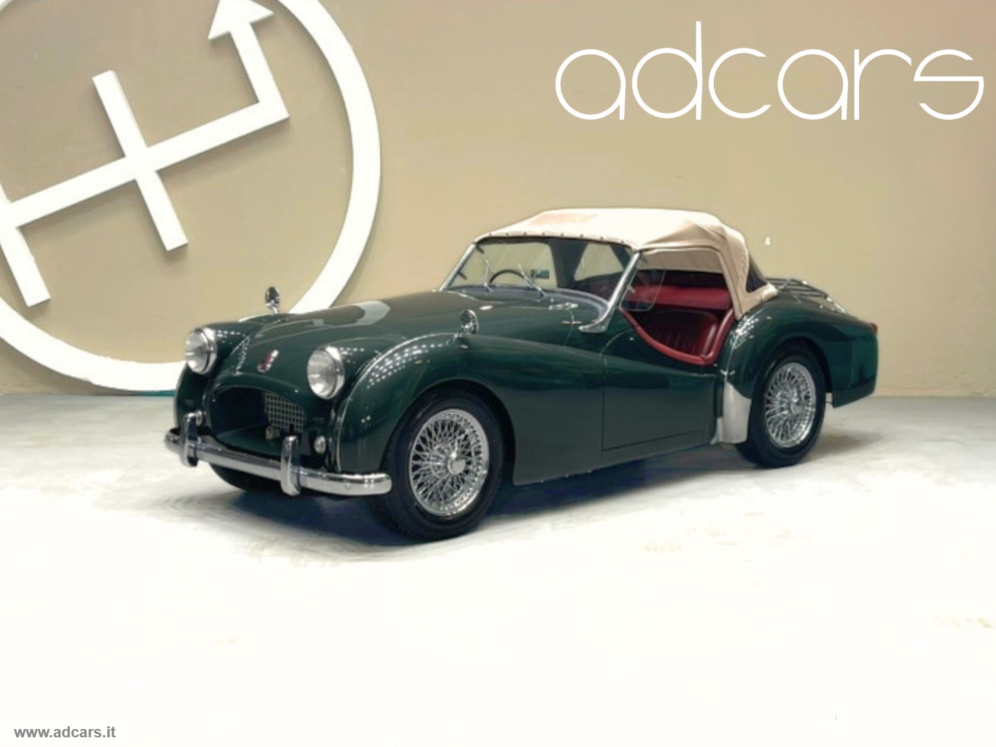TRIUMPH Altri Modelli