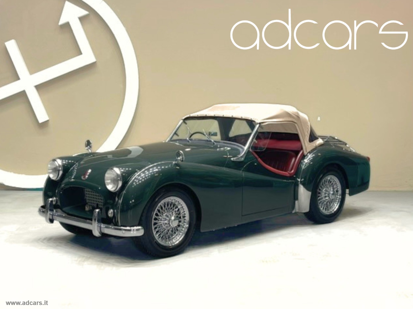 TRIUMPH Altri Modelli