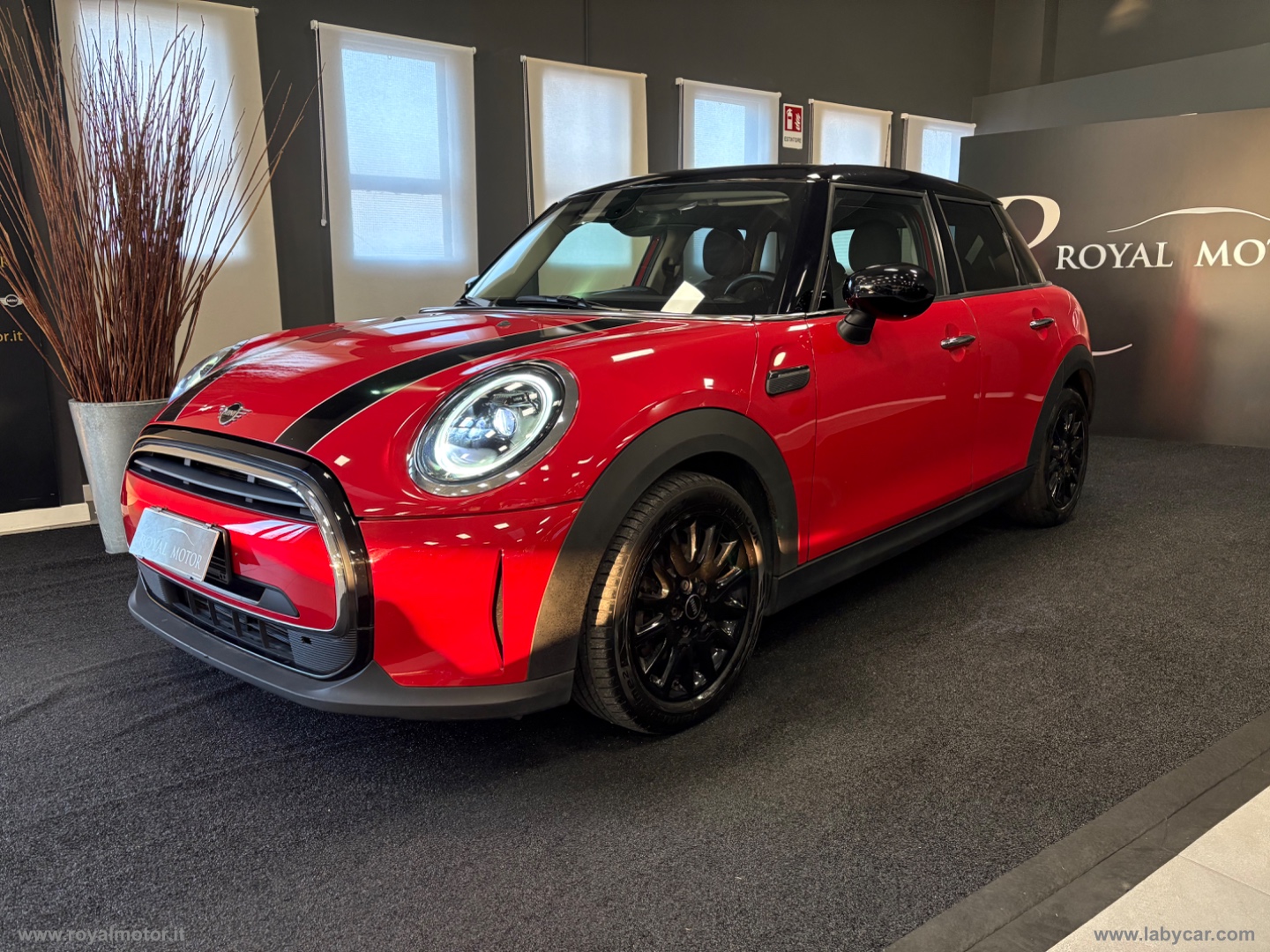 MINI Mini
