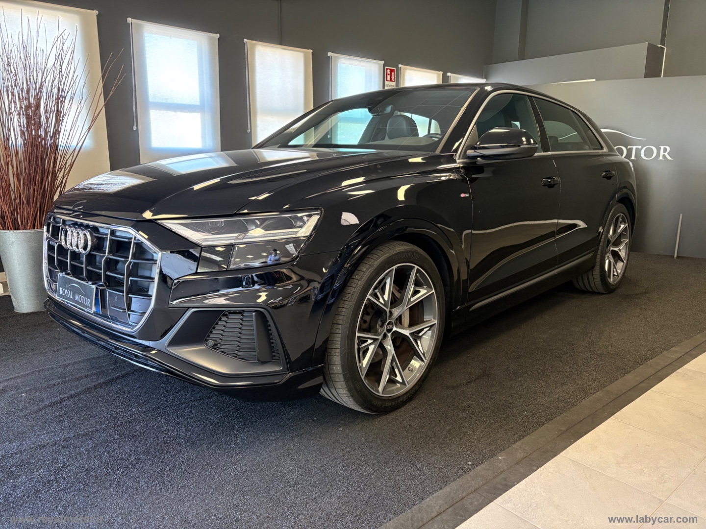 AUDI Q8