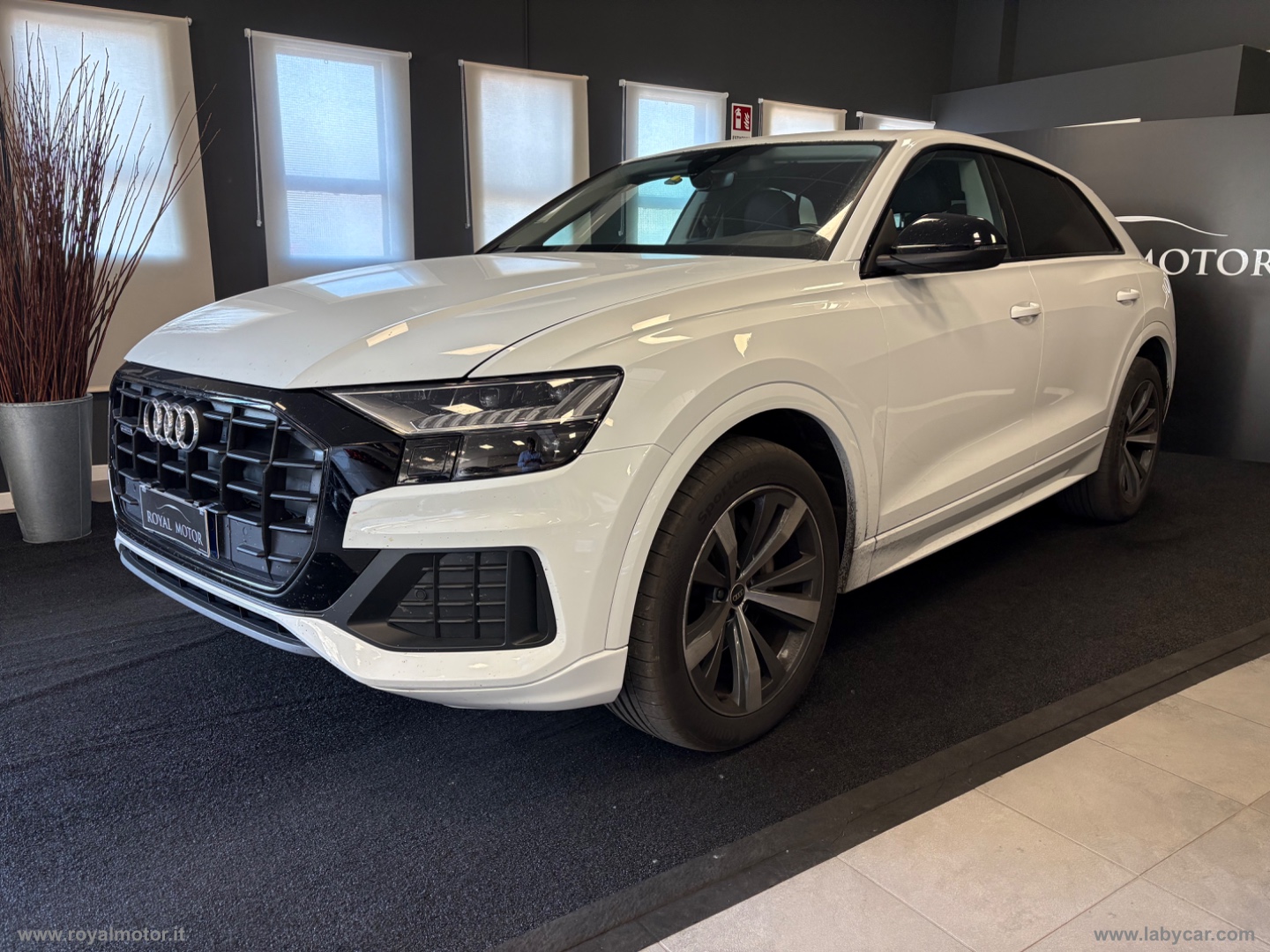 AUDI Q8