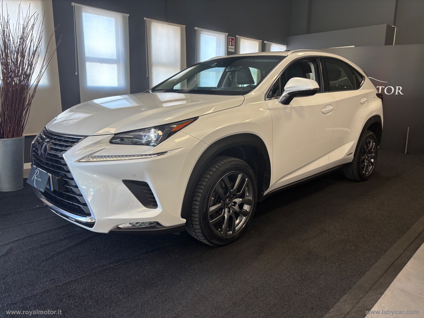 LEXUS NX