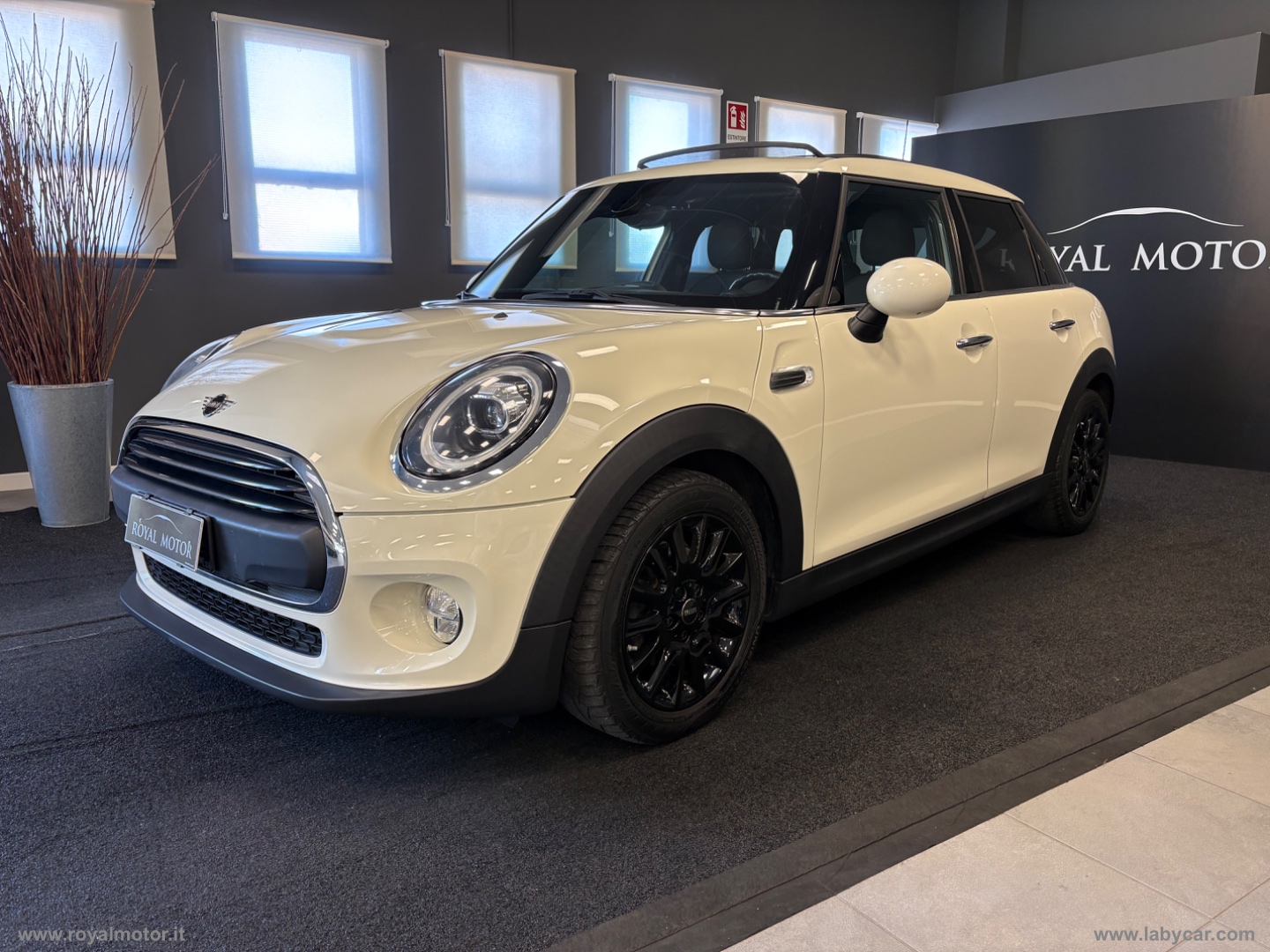 MINI Mini