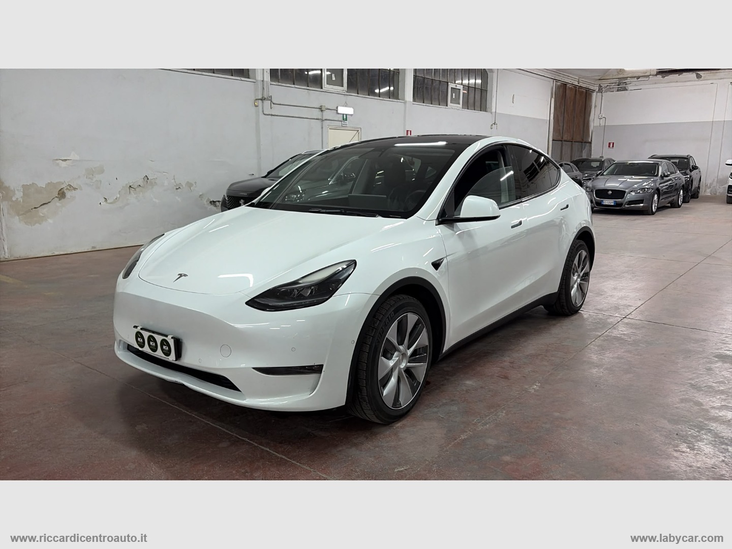 TESLA Model Y Long Range AWD                                                        