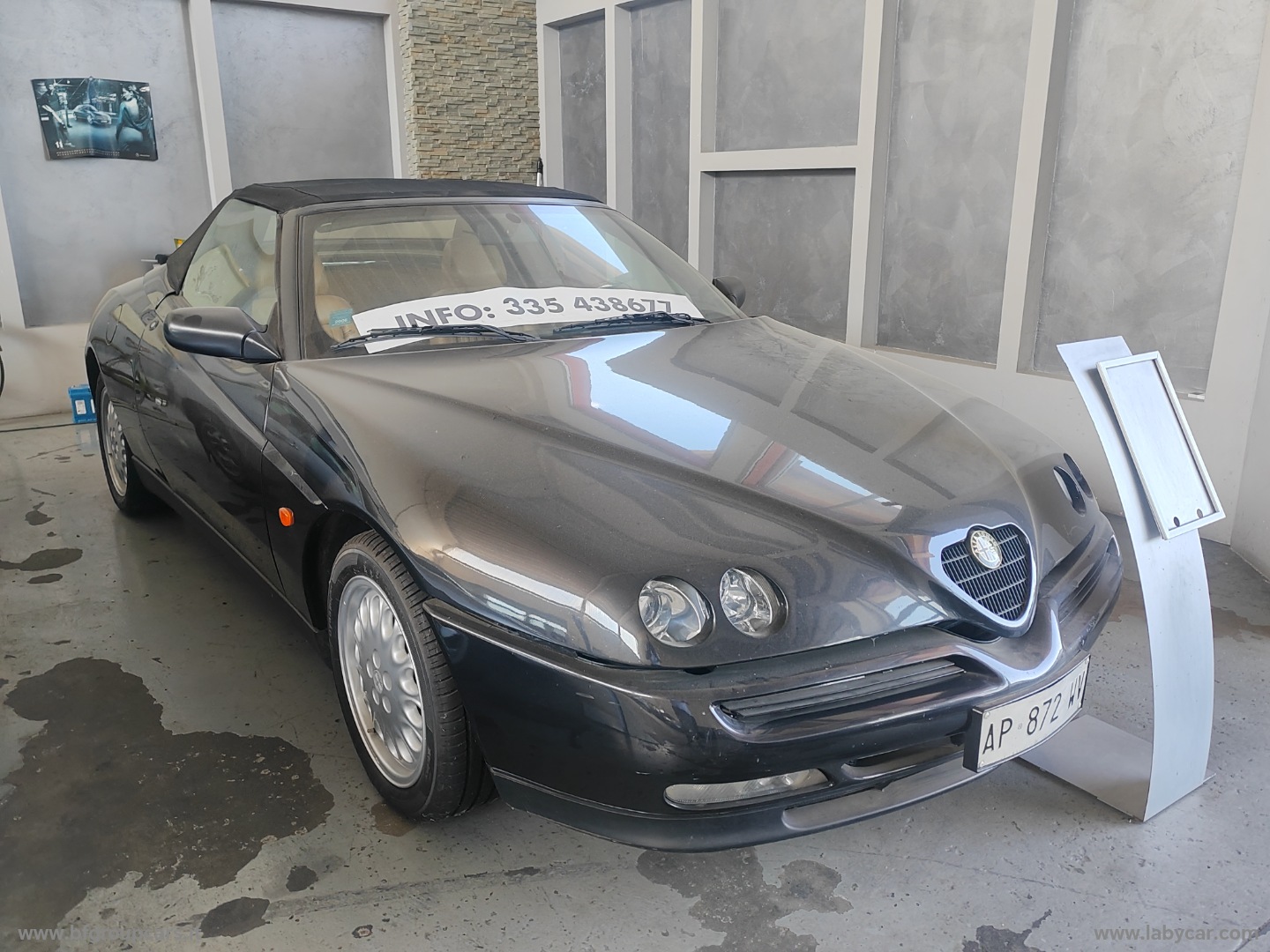 ALFA ROMEO Gtv/Spider