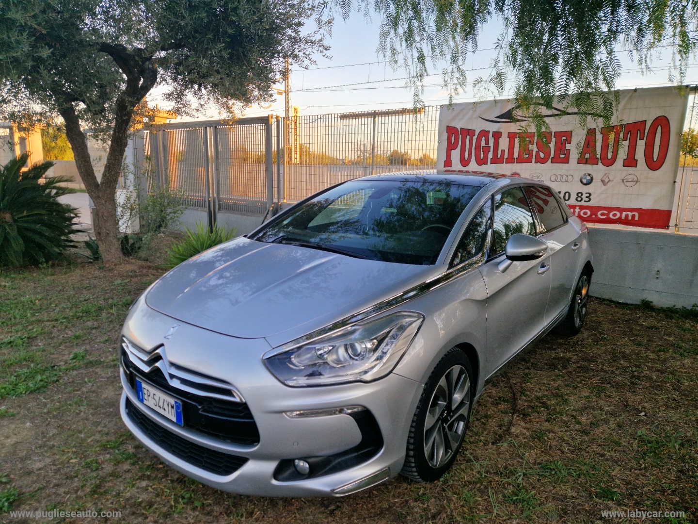 DS 5 2.0 HDi 160 Pure Pearl                                                        