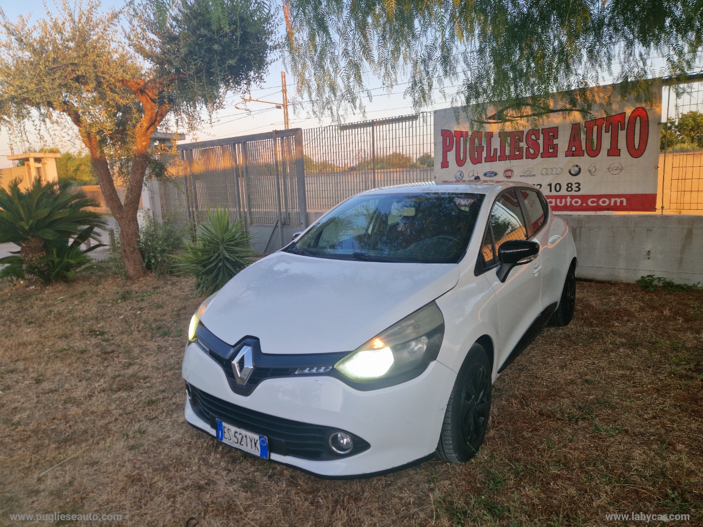 RENAULT Clio