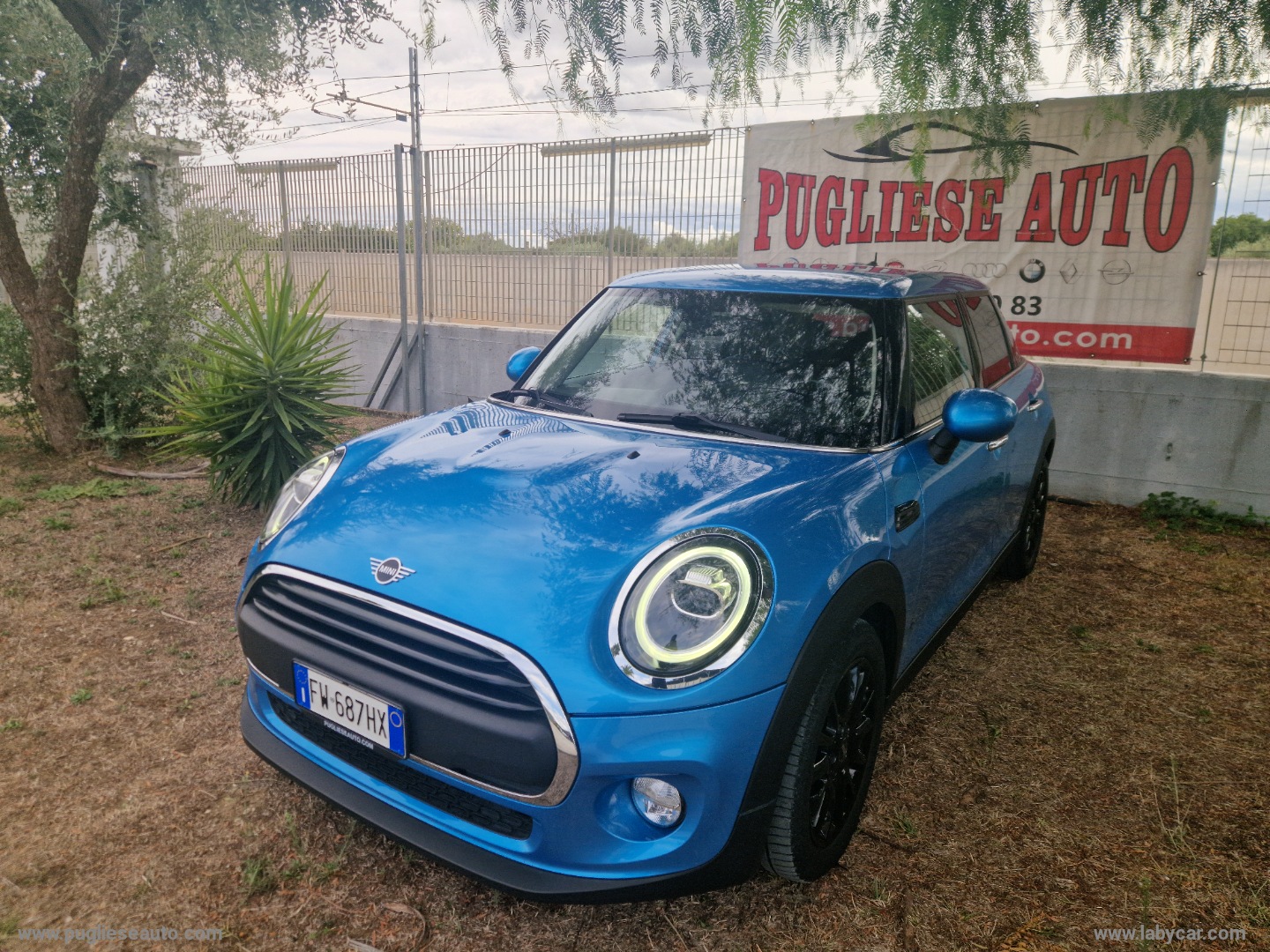 MINI Mini