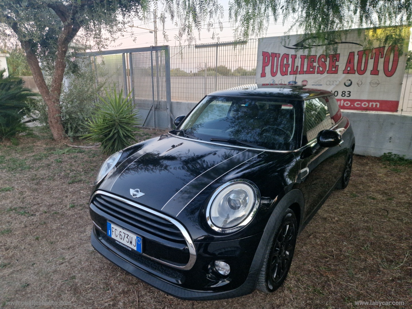 MINI Mini
