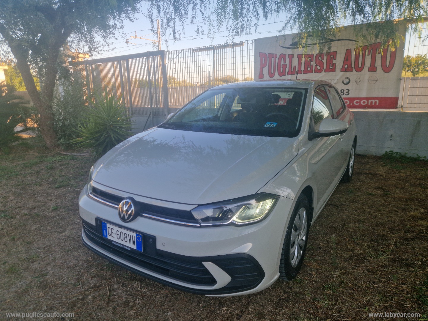 VOLKSWAGEN Polo 1.0 EVO 80CV 5p                                                        