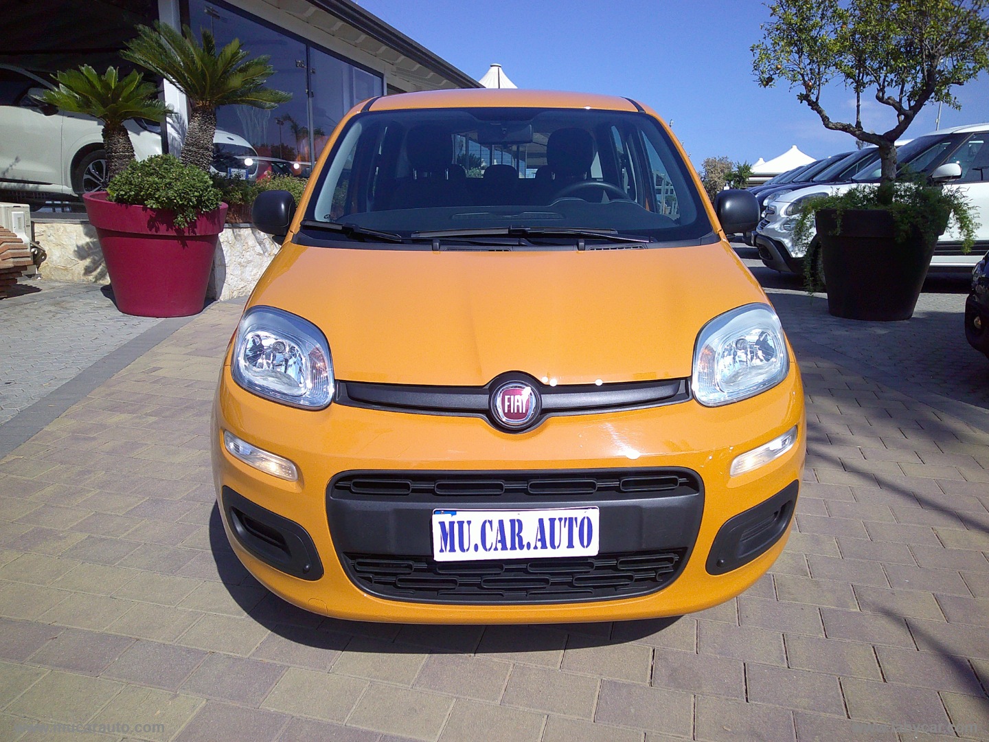 FIAT Panda