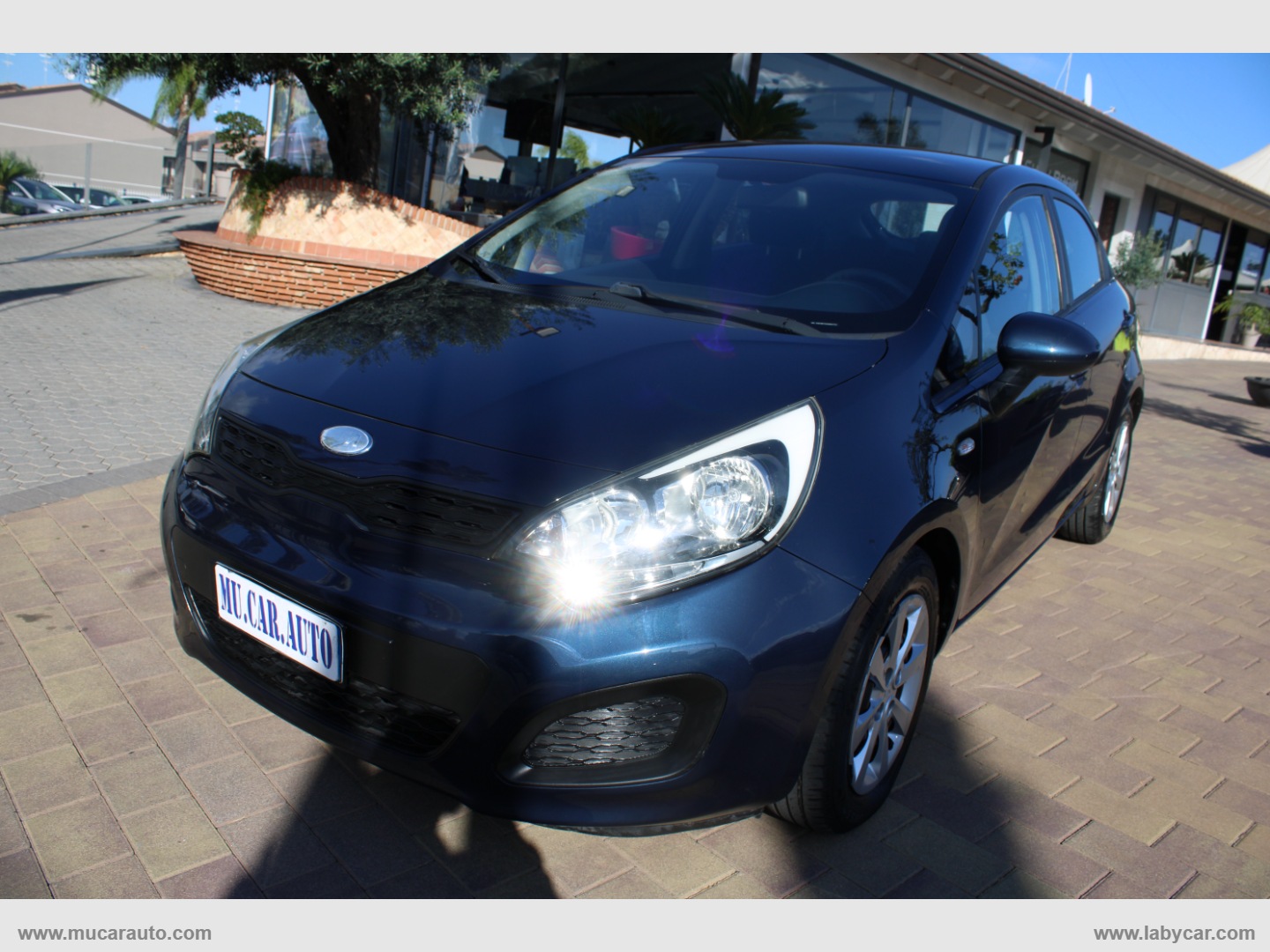 KIA Rio