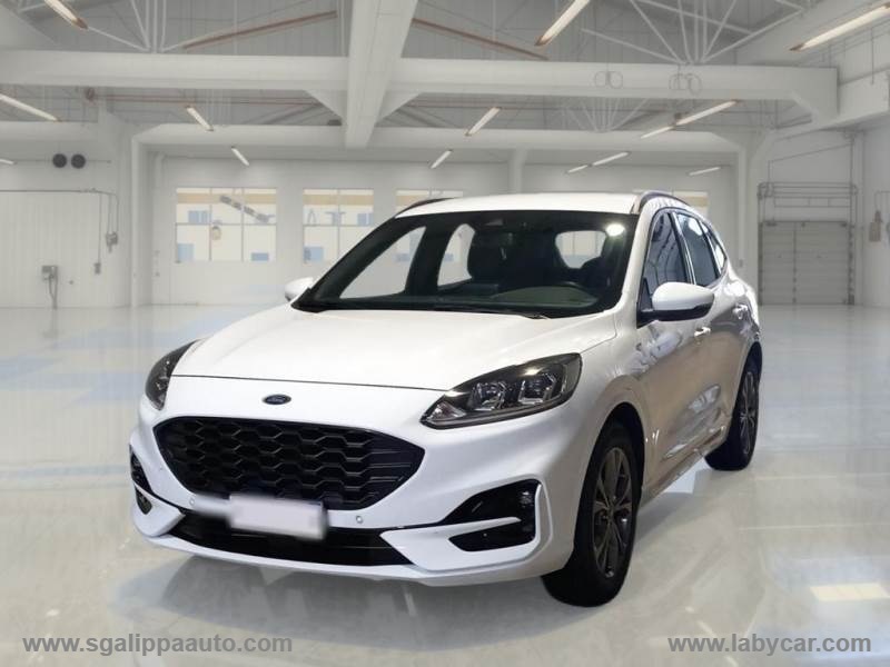 FORD&nbsp;Kuga