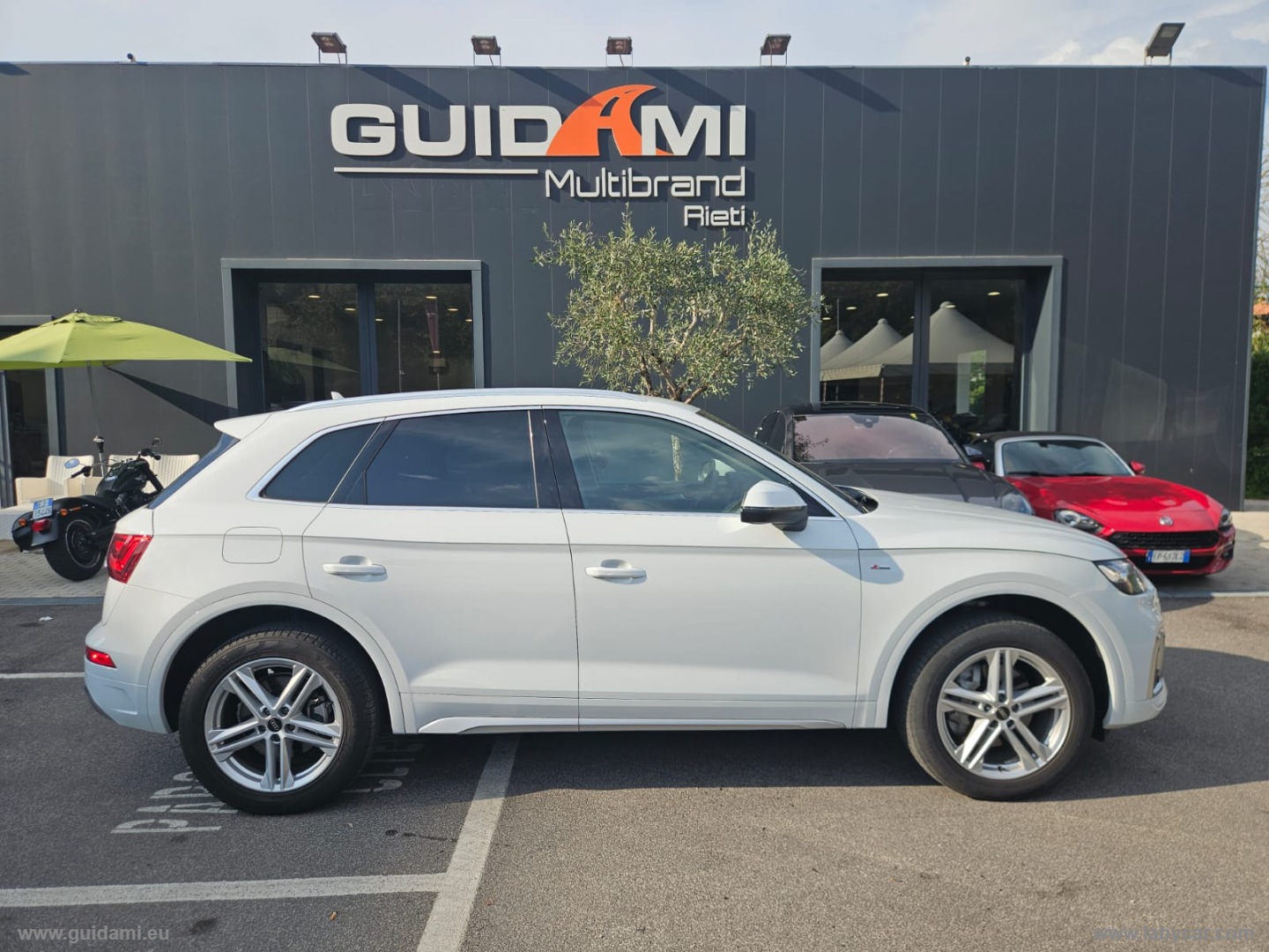 Q5 40 TDI 204CV qu. S tr. S line 48 MESI GARANZIA                                       