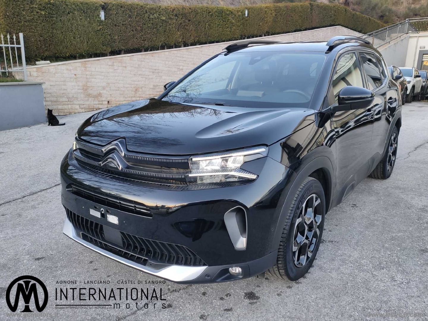 C5 Aircross BlueHDi 130 S&S Shine                                                        