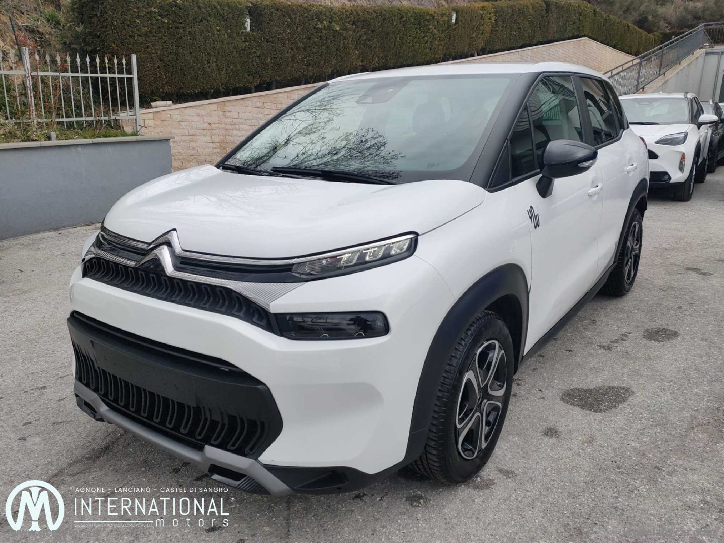C3 Aircross BlueHDi 110 S&S YOU                                                        