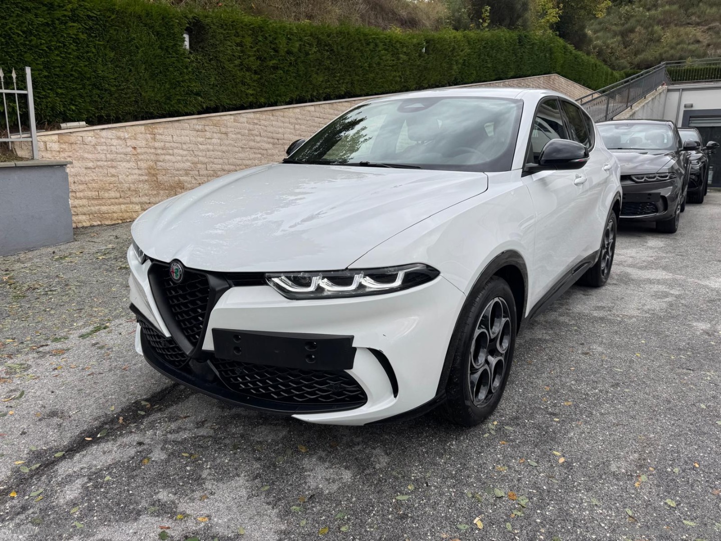 Alfa Romeo Tonale Tonale 1.6 diesel 130 CV TCT6 Sprint - Immagine 1