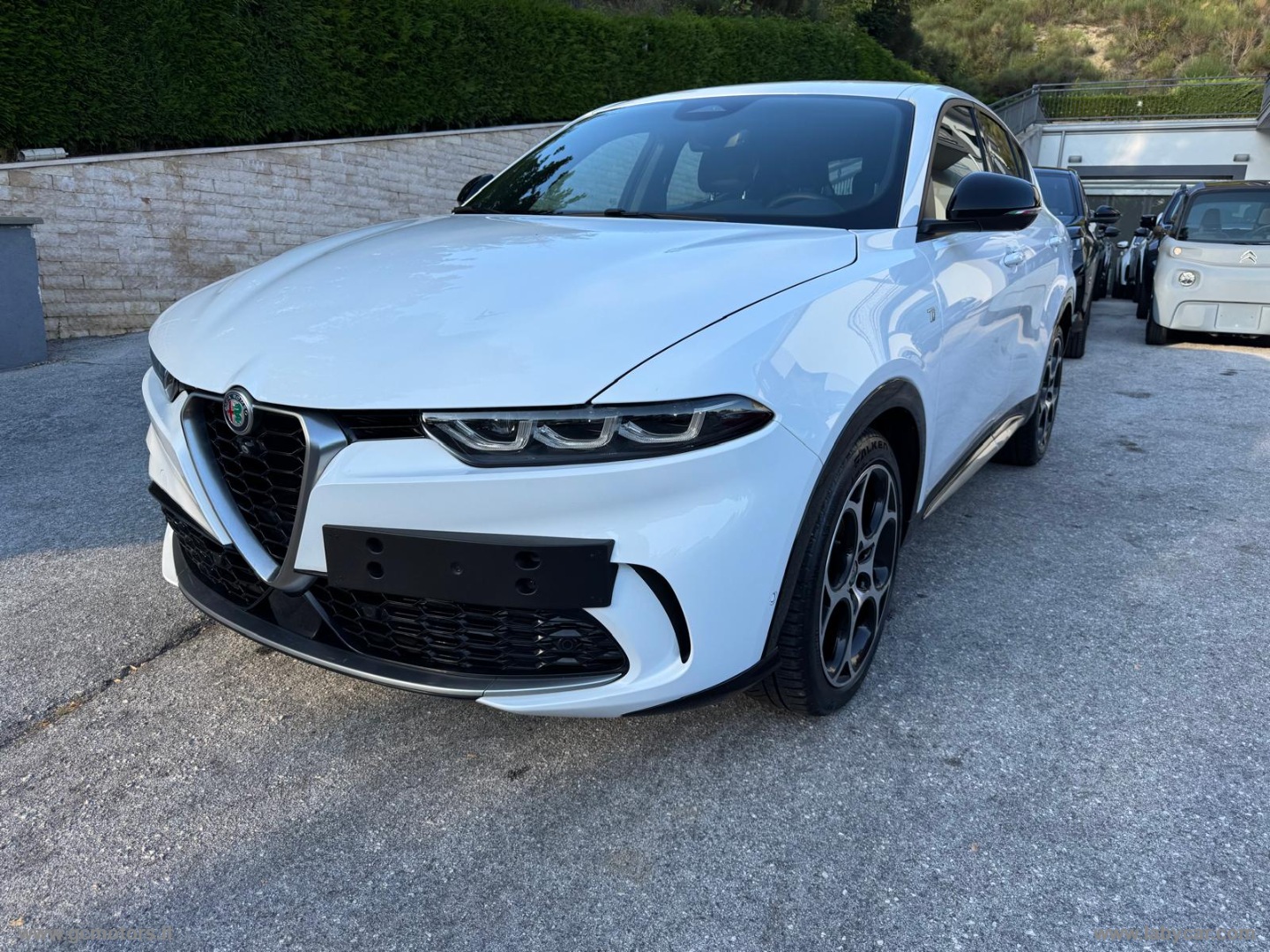 Alfa Romeo Tonale Tonale 1.6 diesel 130 CV TCT6 Ti