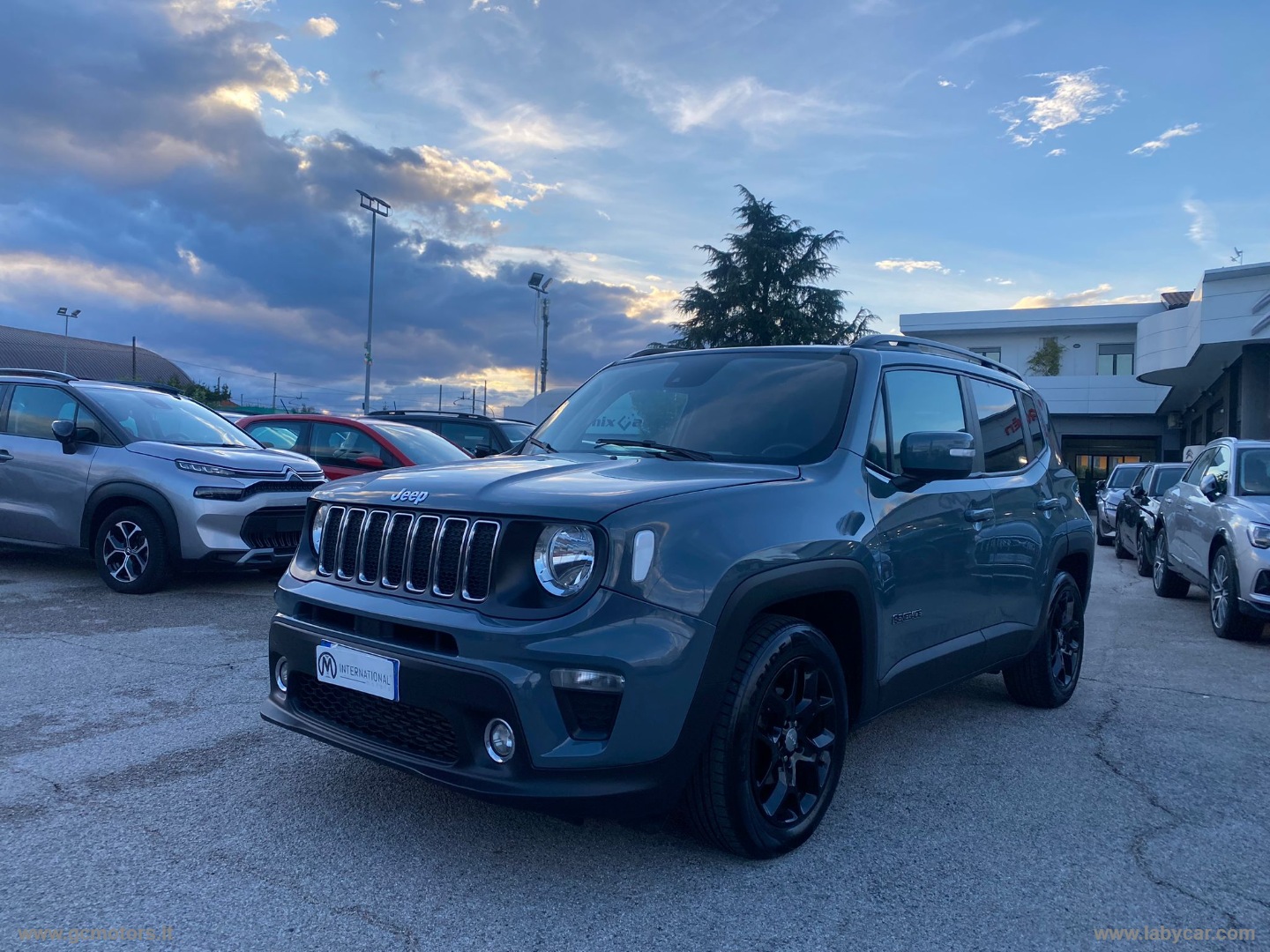 Jeep Renegade Renegade 1.6 Mjt 120CV Longitude