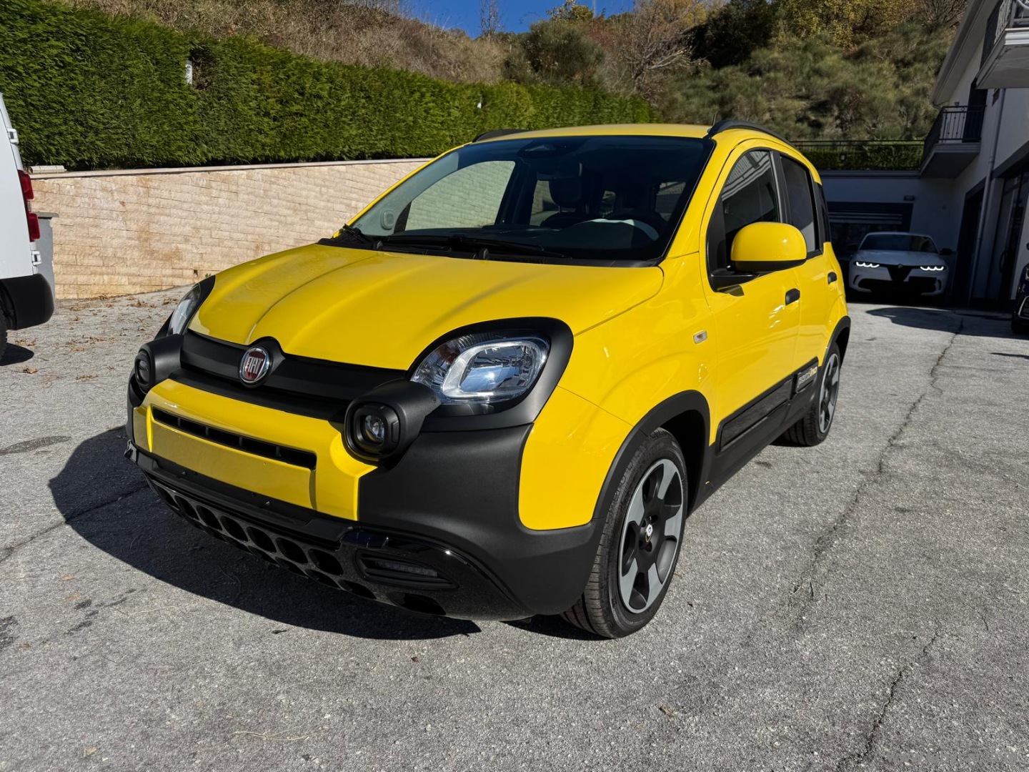Fiat Panda Cross 1.0 FireFly S&S Hybrid PANDINA - Immagine 1