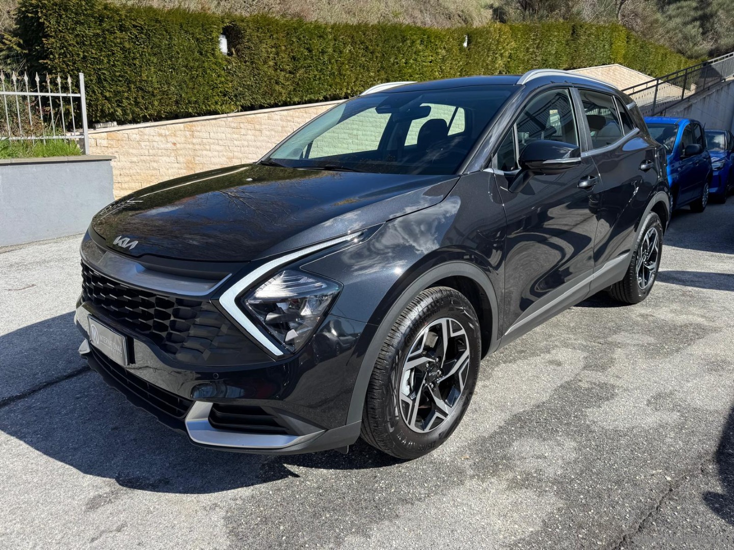 Sportage 1.6 CRDi MHEV DCT Business                                                        