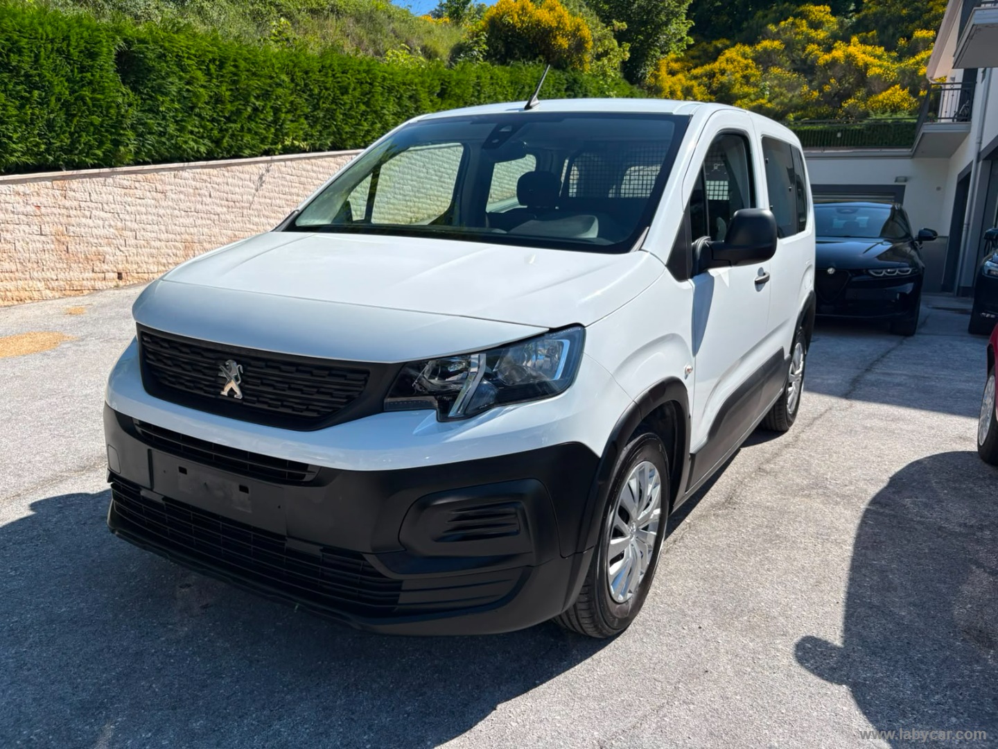 PEUGEOT Rifter