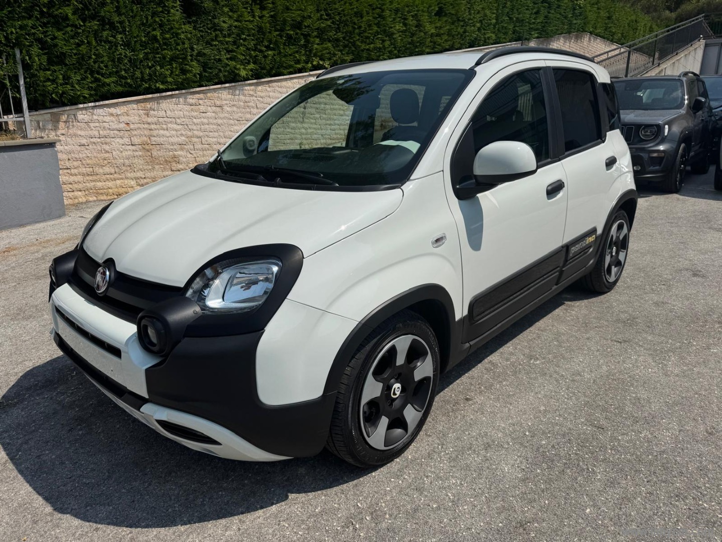 Fiat Panda 1.0 FireFly S&S Hybrid Pandina