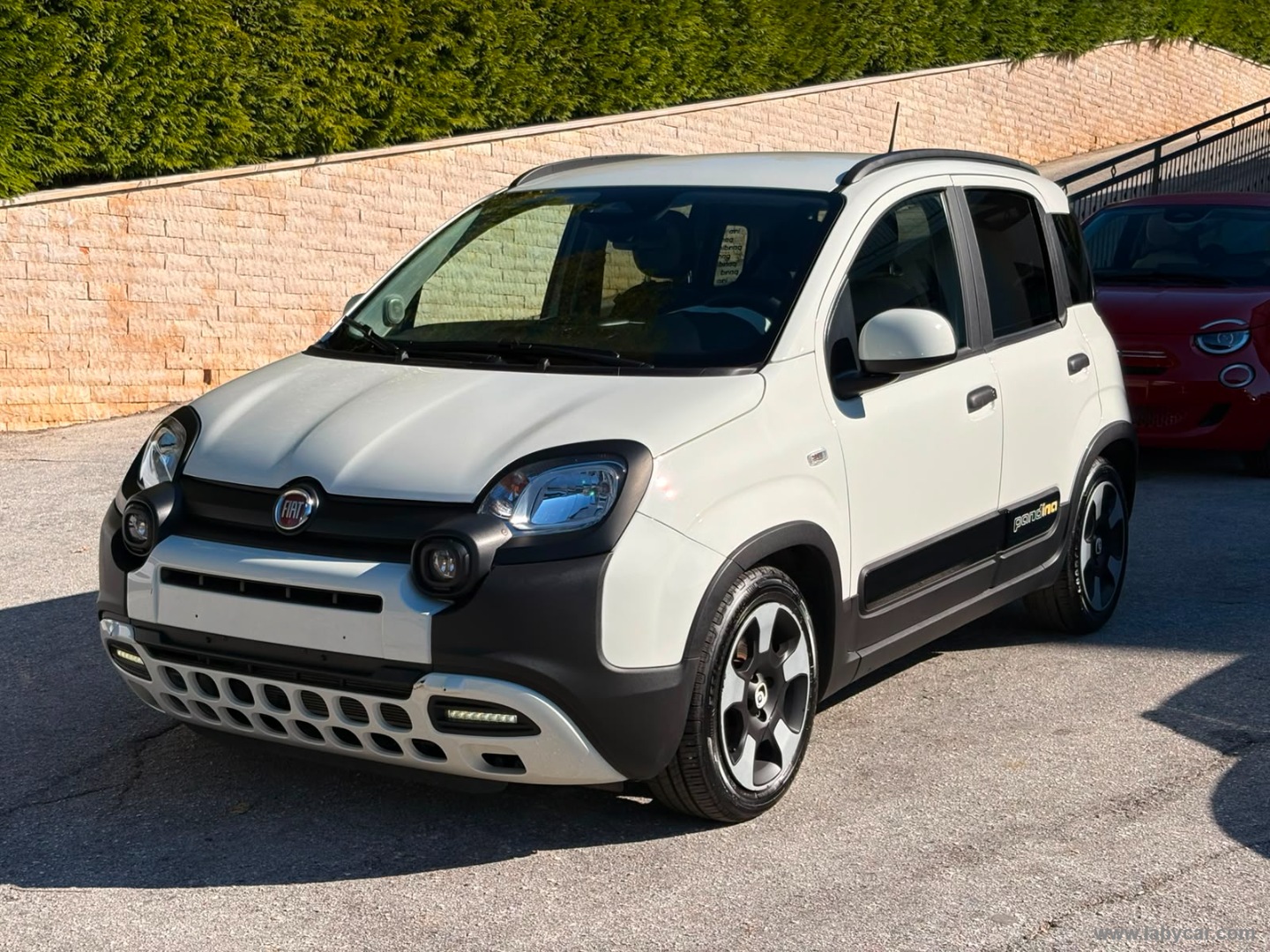 FIAT Panda 1.0 FireFly S&S Hybrid Pandina                                                        