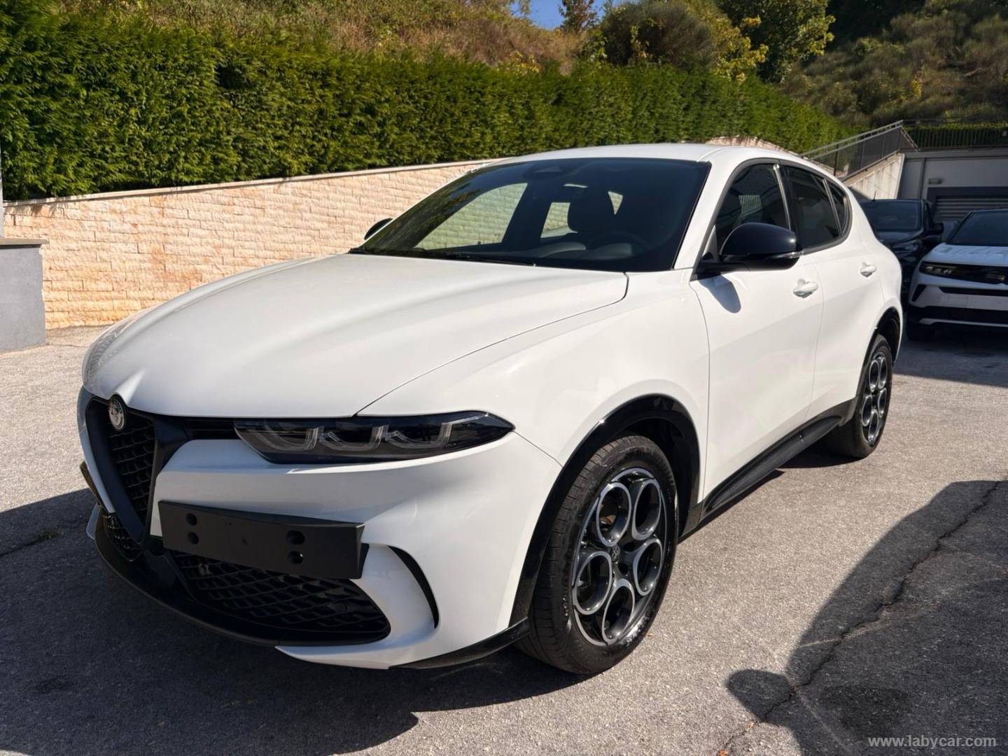 Alfa Romeo Tonale 1.6 diesel 130 CV TCT6 Sprint - Immagine 1