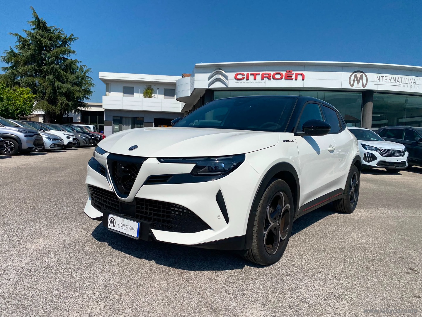 ALFA ROMEO Junior