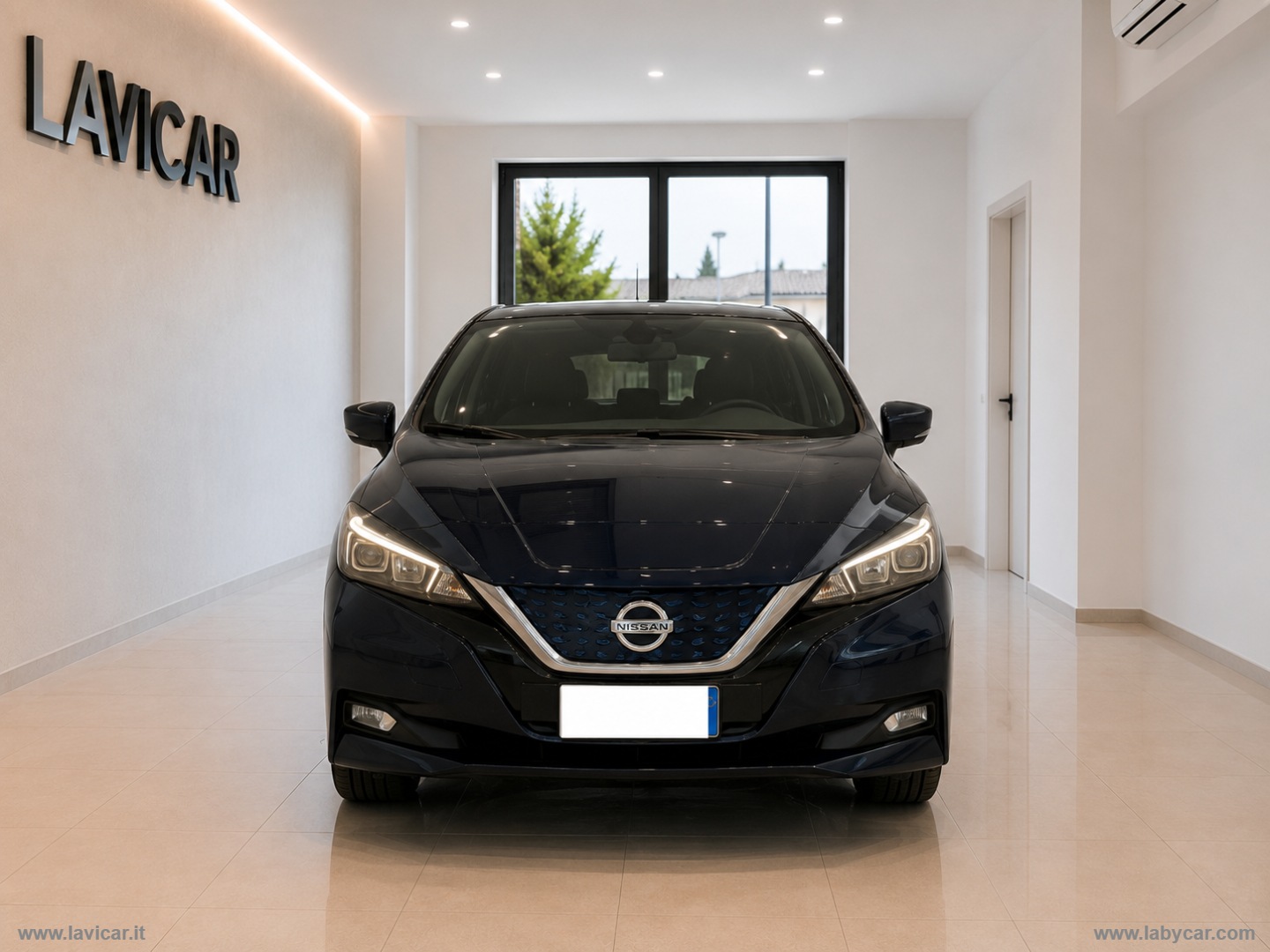Leaf N-Connecta 110 KW                                                        