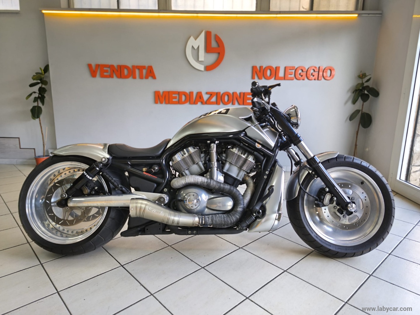 HARLEY-DAVIDSON 