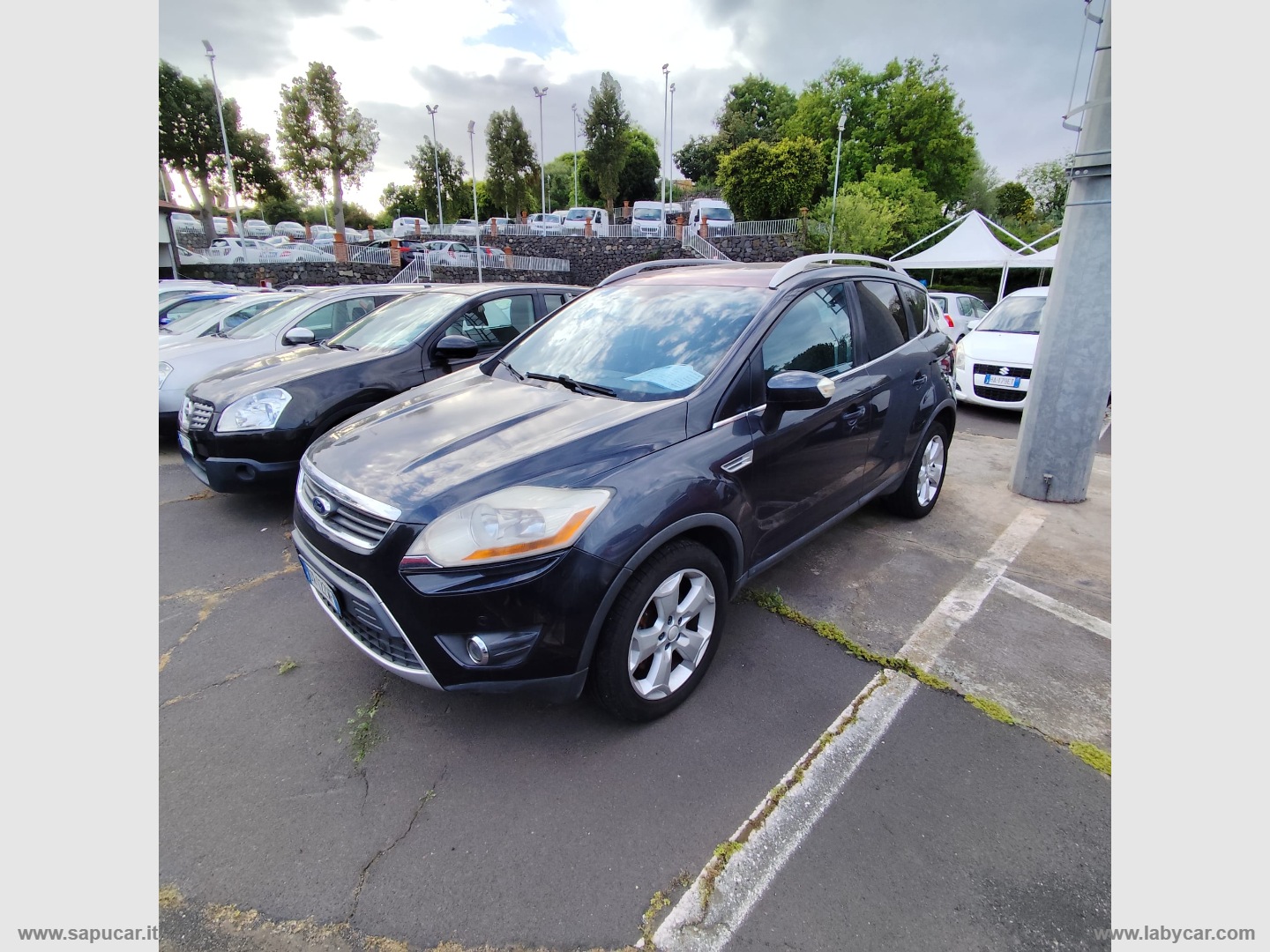 Kuga
