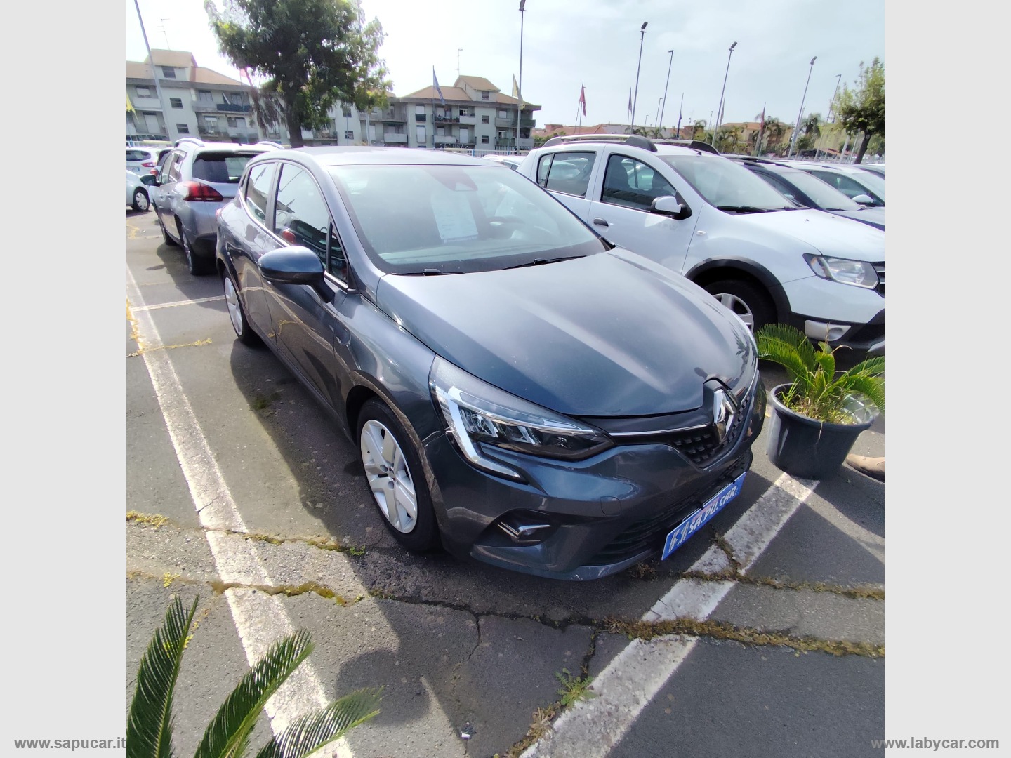 Clio