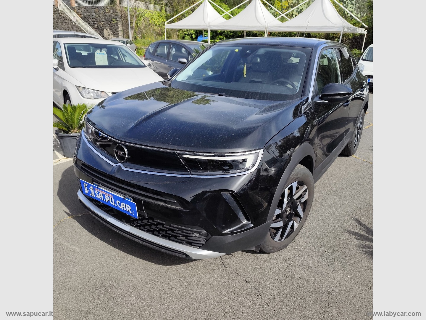Mokka