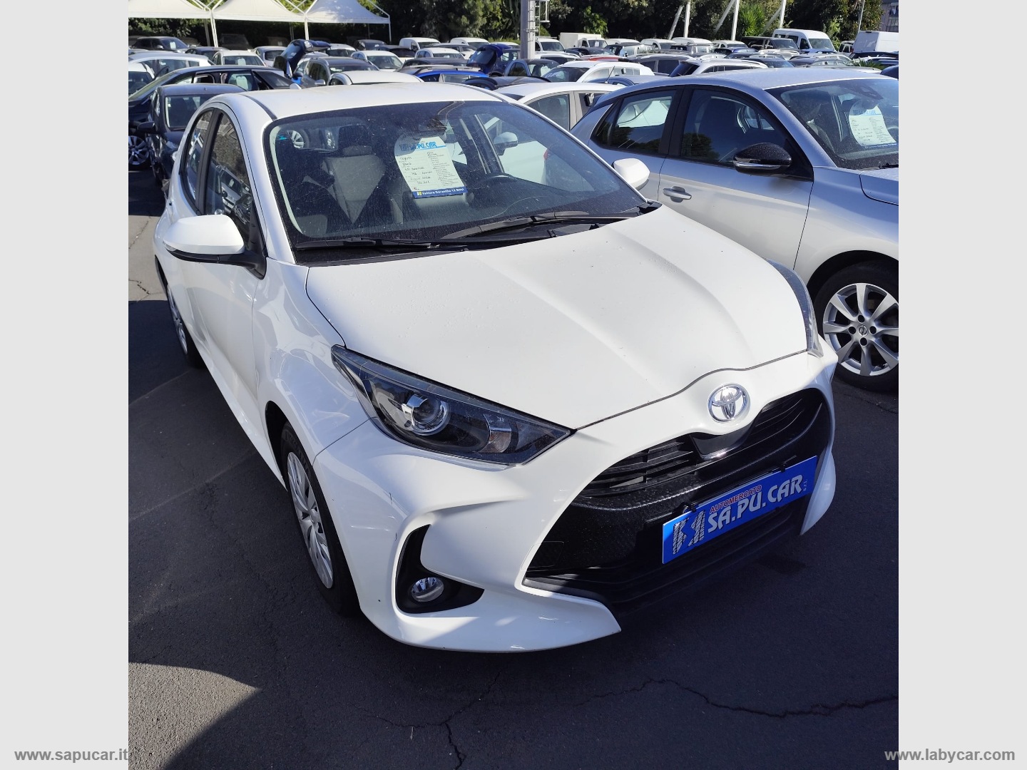 Yaris