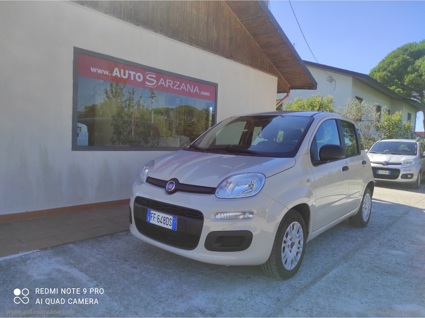 Panda 1.2 Pandazzurri                                                        